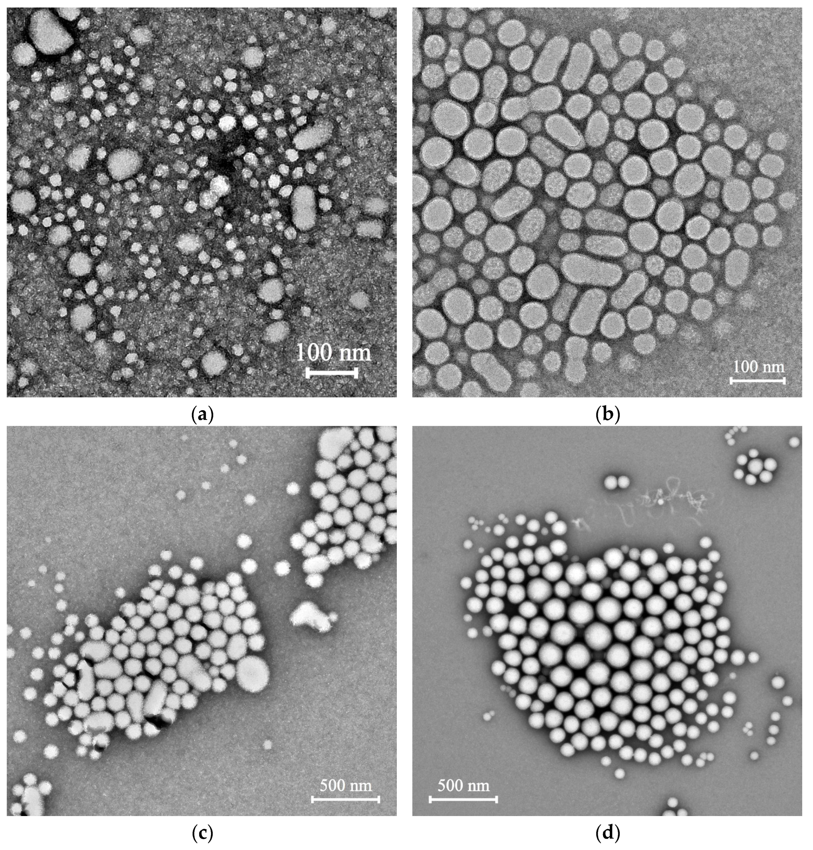 Polymers 15 02296 g002