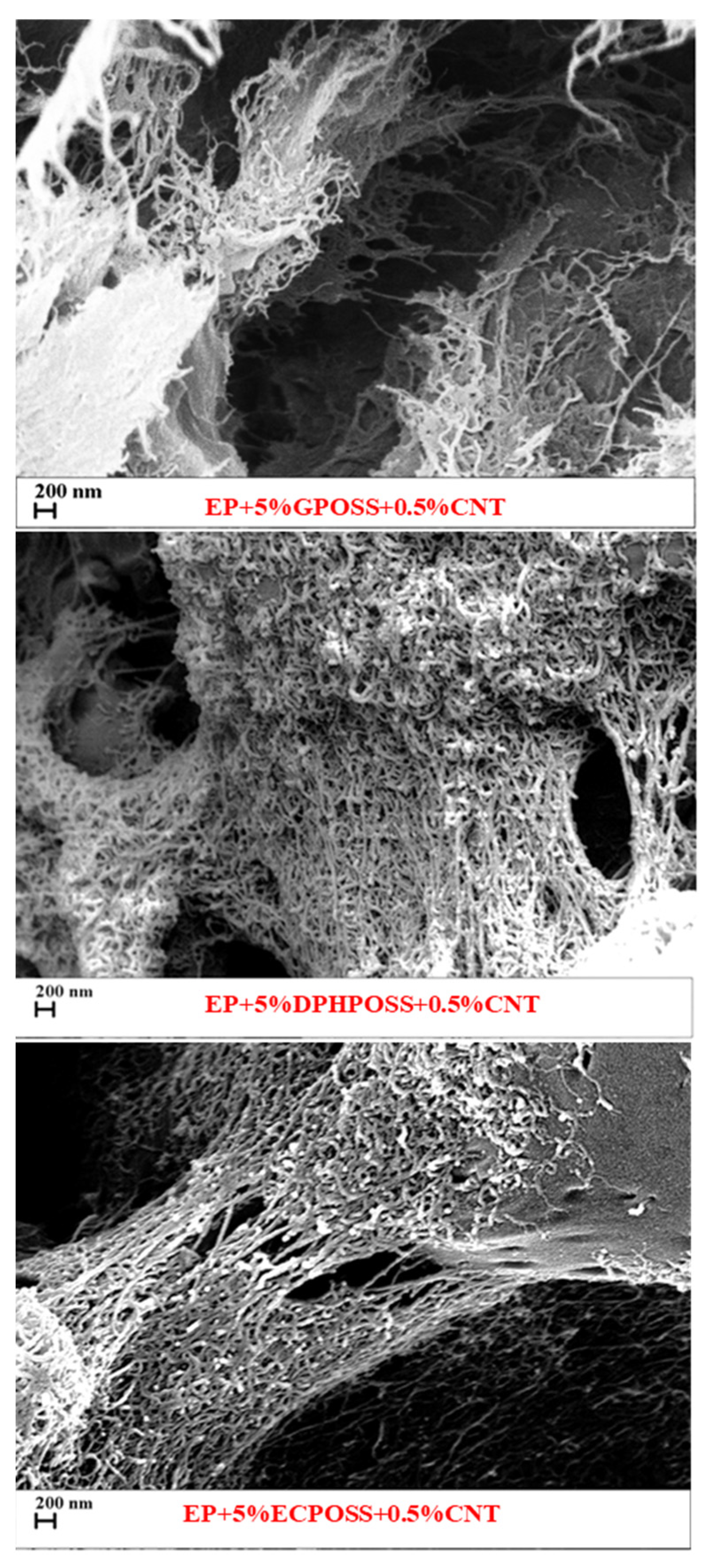 Polymers 15 02297 g009