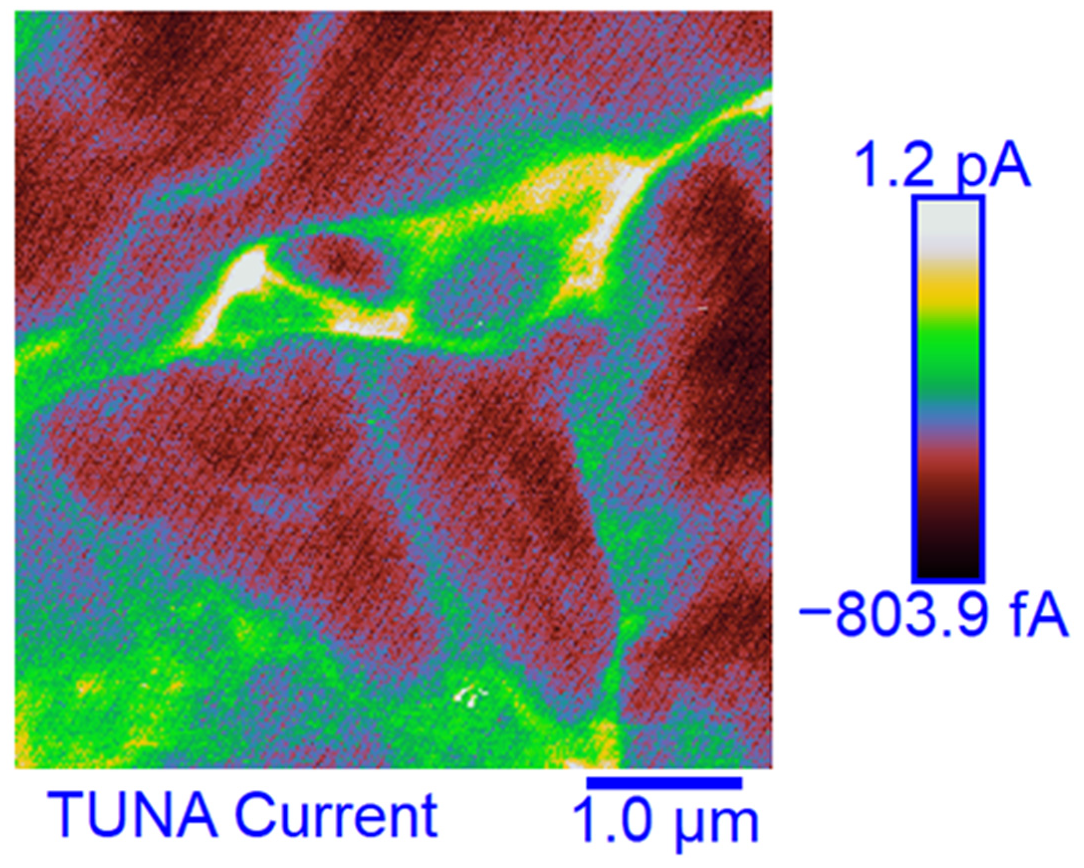 Polymers 15 02297 g010