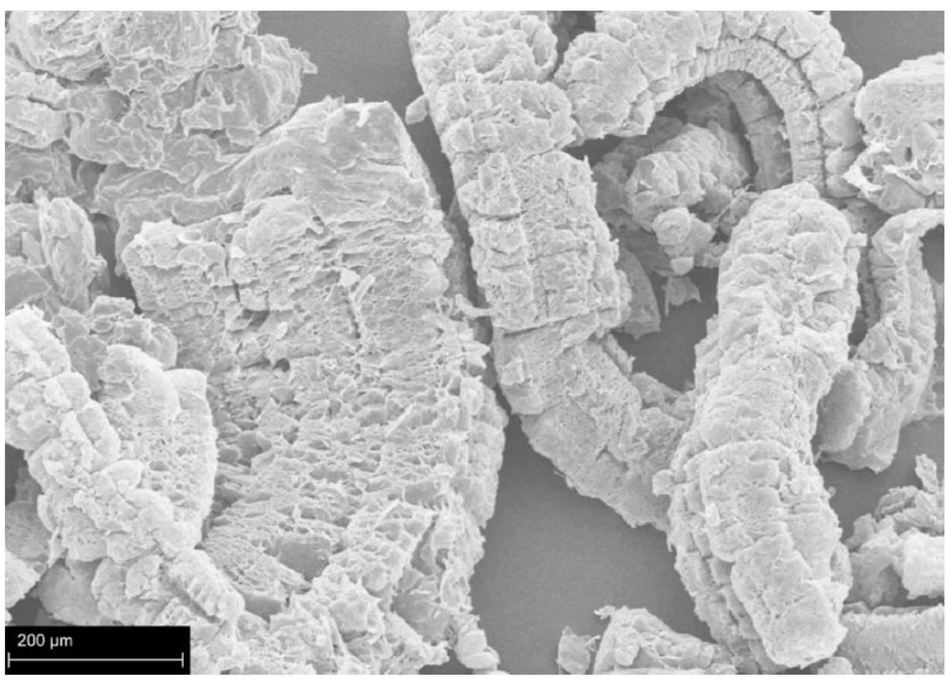 Polymers 15 02314 g006