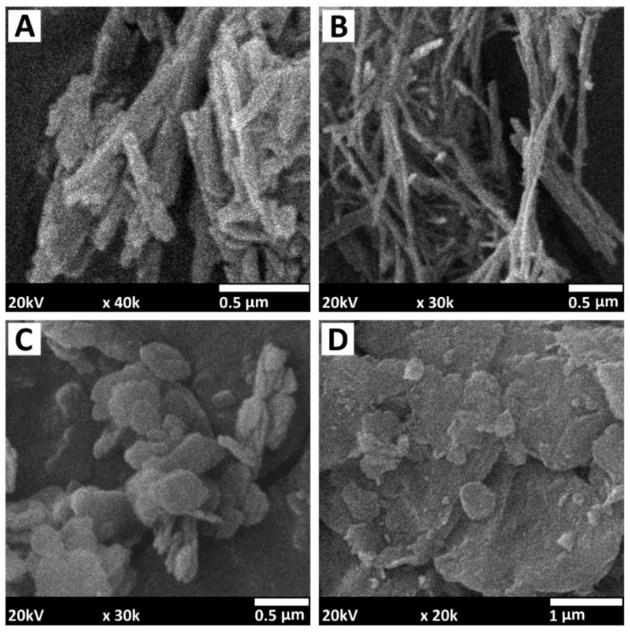 Polymers 15 02314 g007