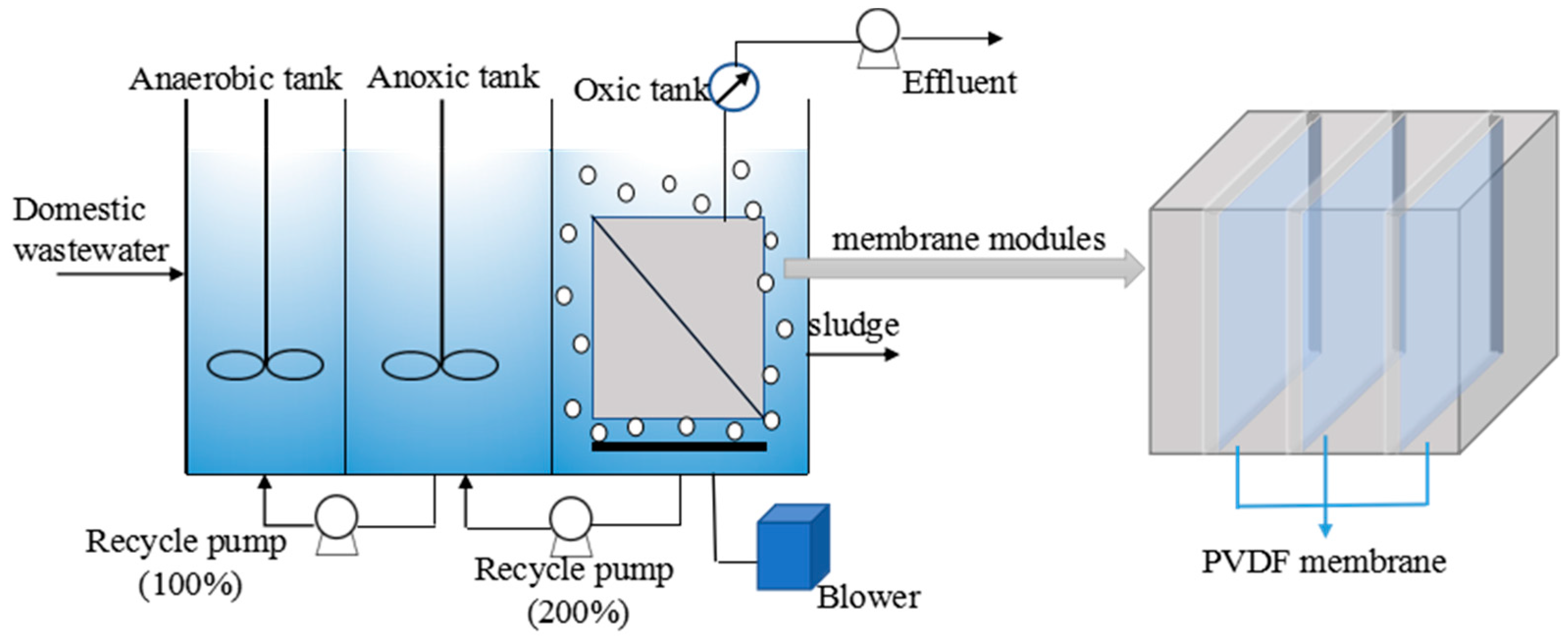 Polymers 15 02319 g002