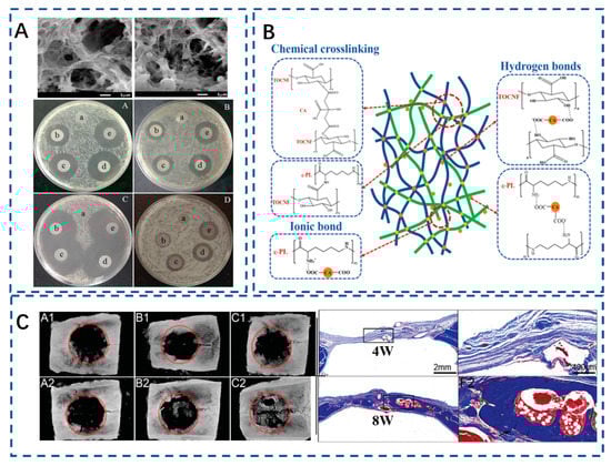 Polymers 15 02323 g003