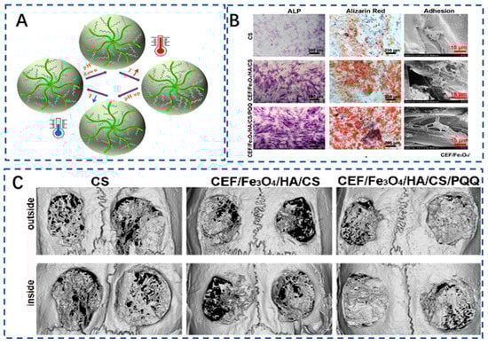 Polymers 15 02323 g004
