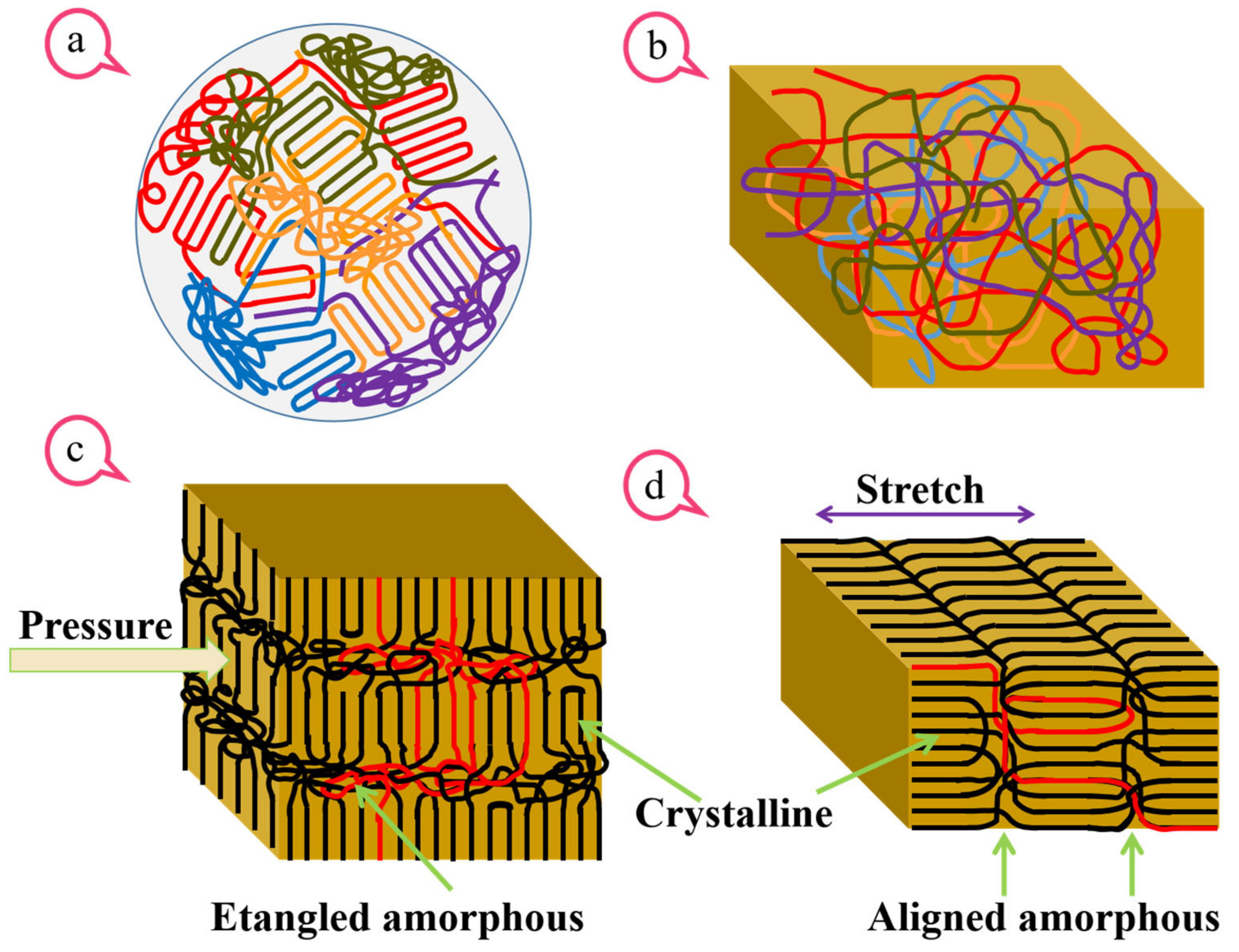 Polymers 15 02331 g001