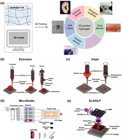 Polymers 15 02341 g003