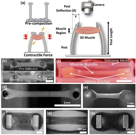 Polymers 15 02341 g009