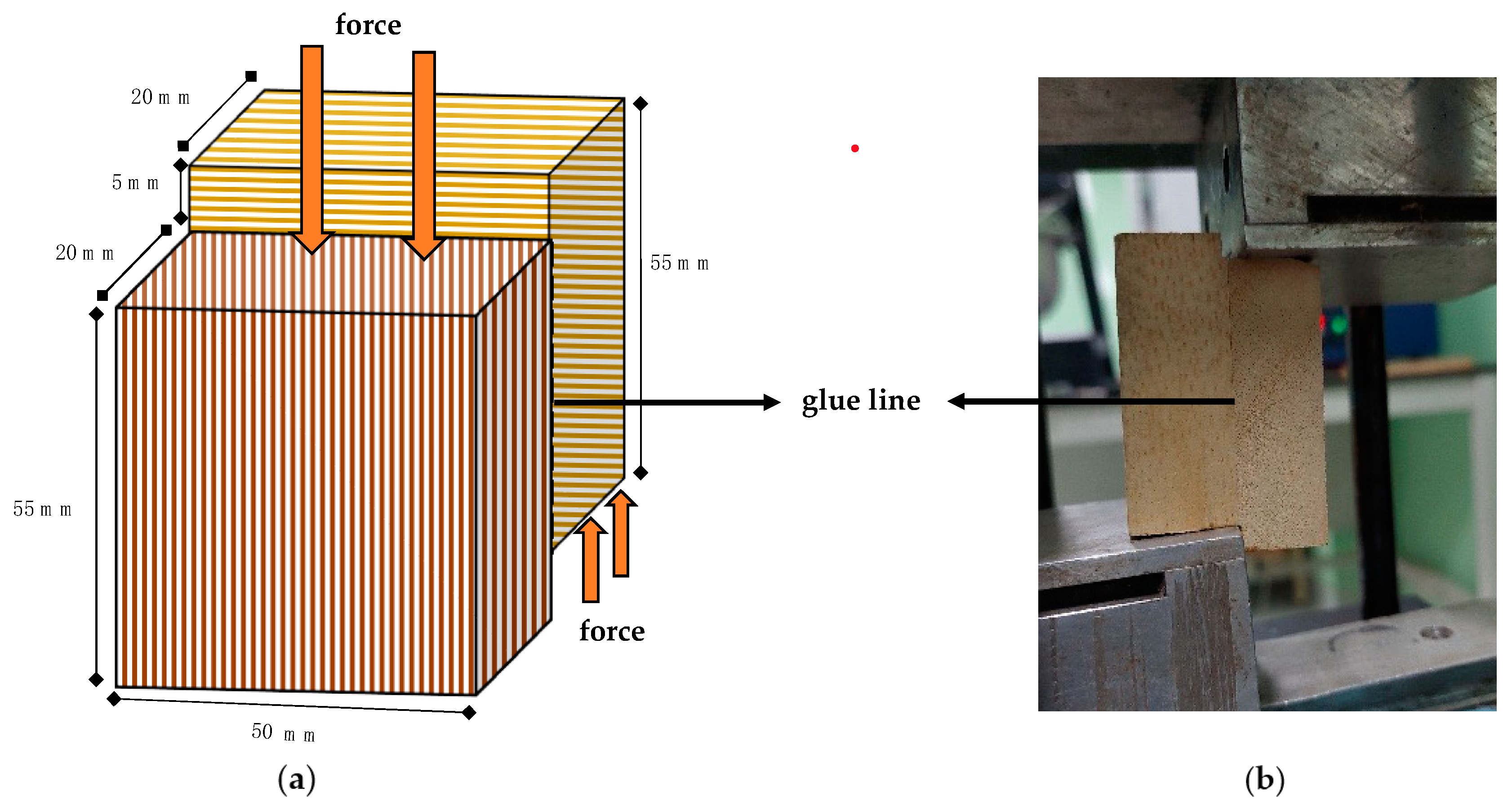 Polymers 15 02349 g003