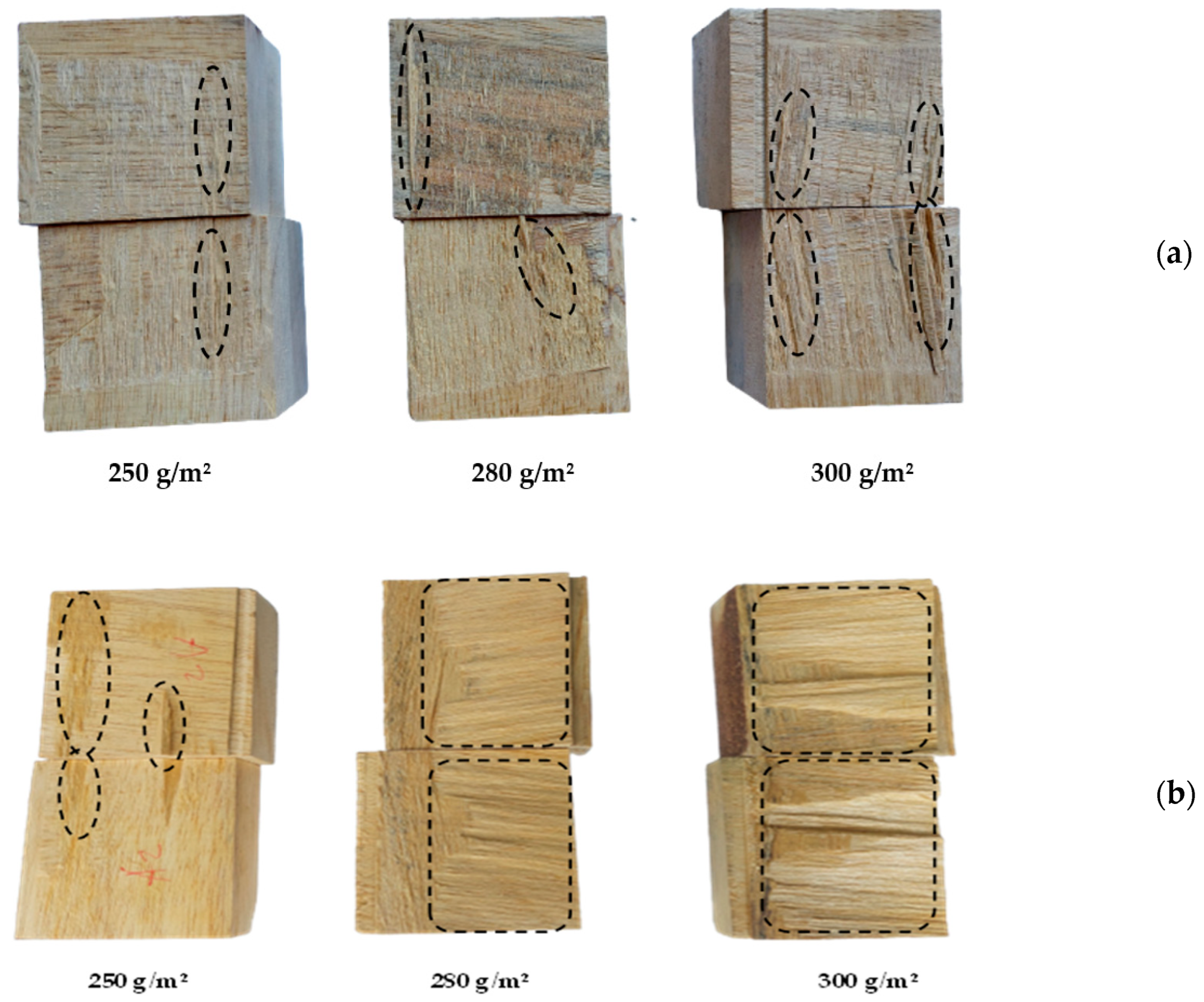 Polymers 15 02349 g009
