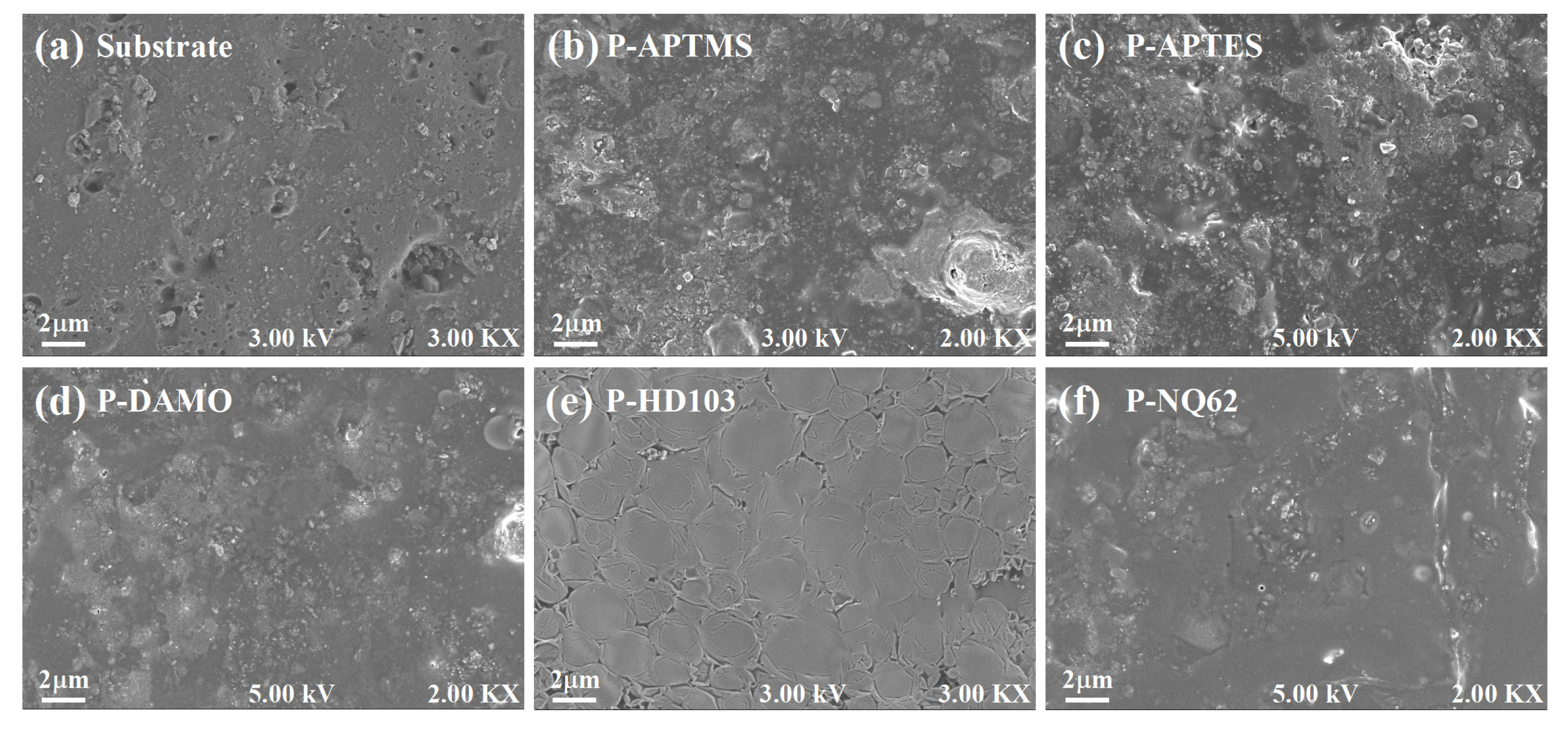 Polymers 15 02361 g002