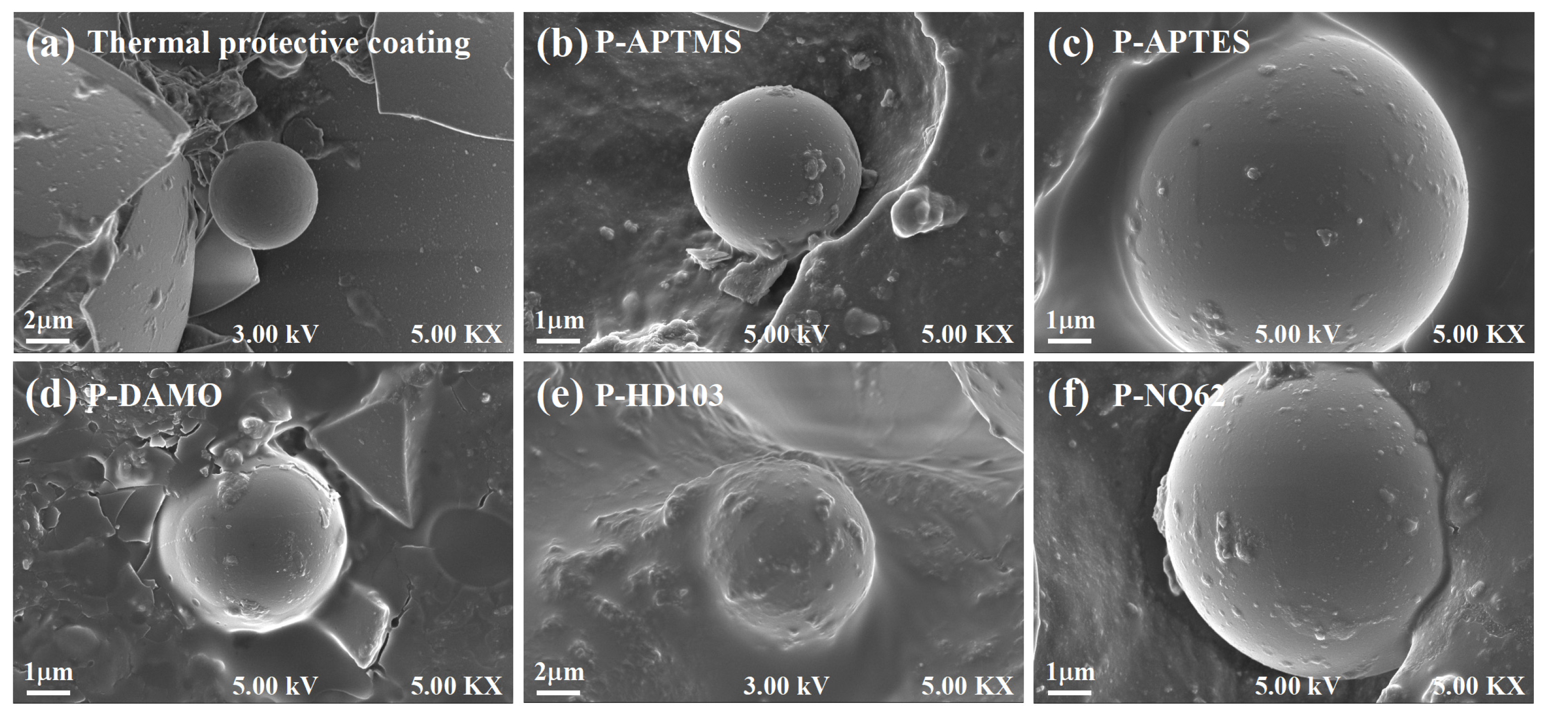 Polymers 15 02361 g003