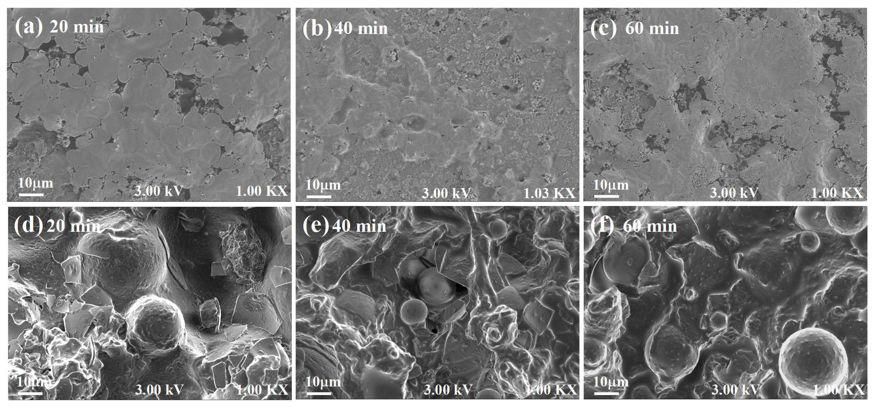 Polymers 15 02361 g004