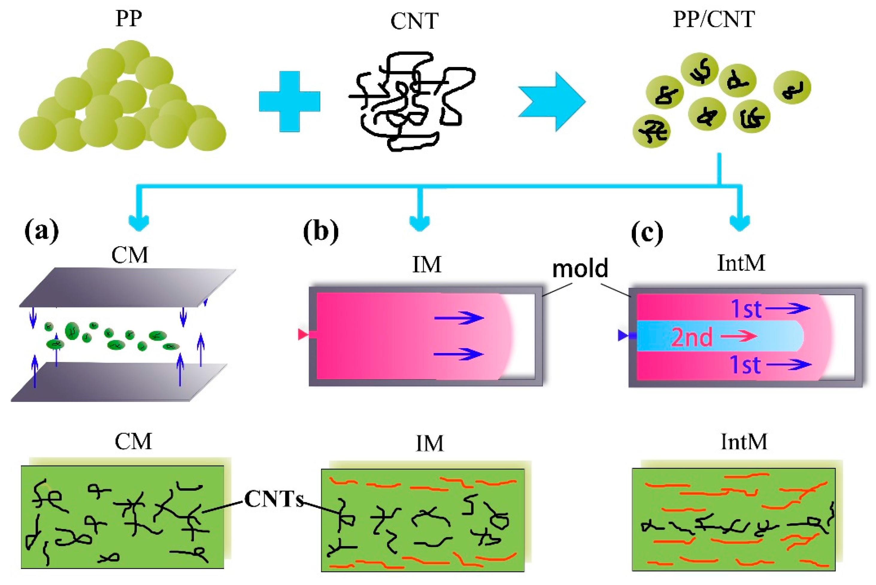 Polymers 15 02370 g001