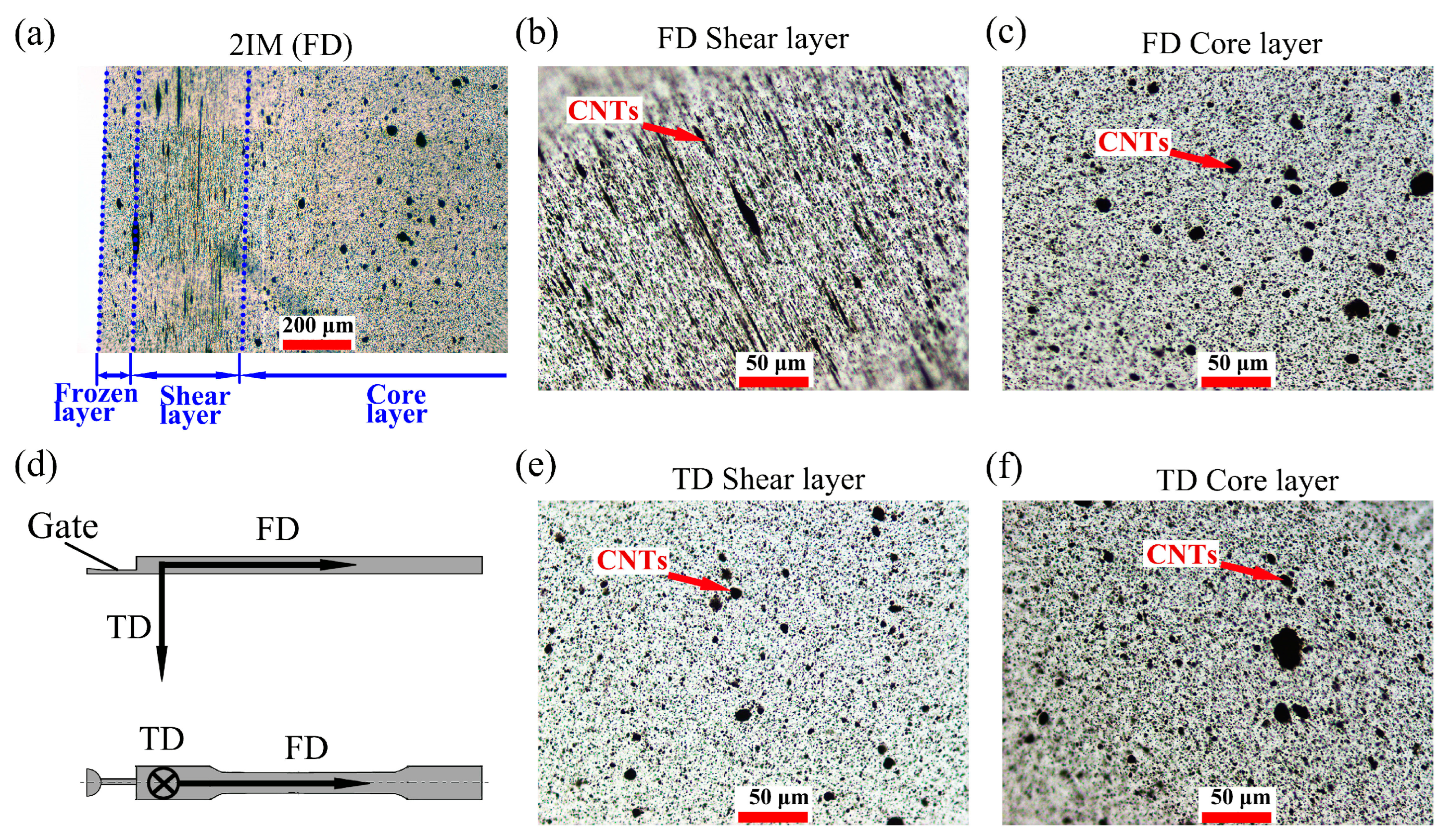 Polymers 15 02370 g002