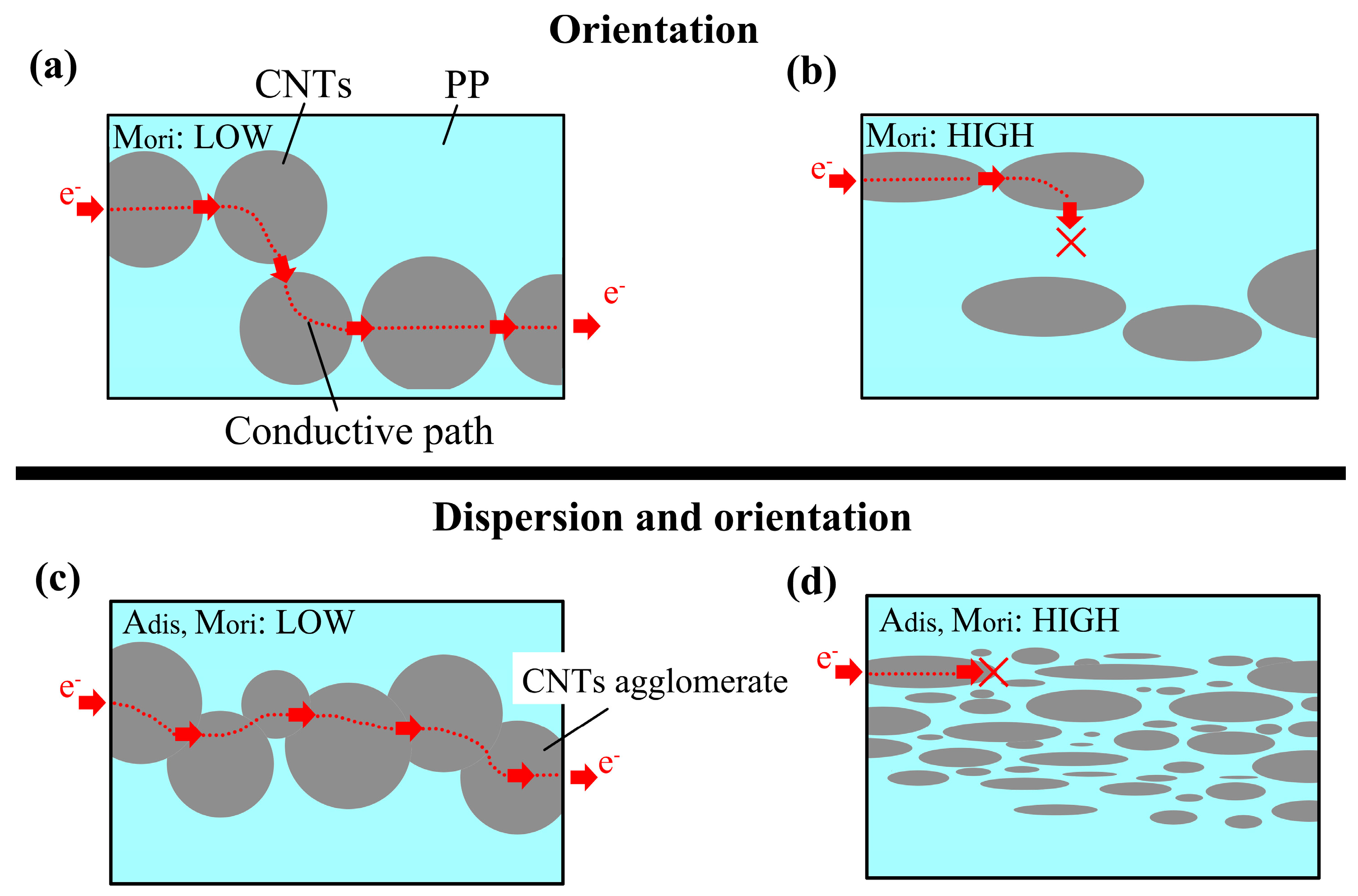 Polymers 15 02370 g012