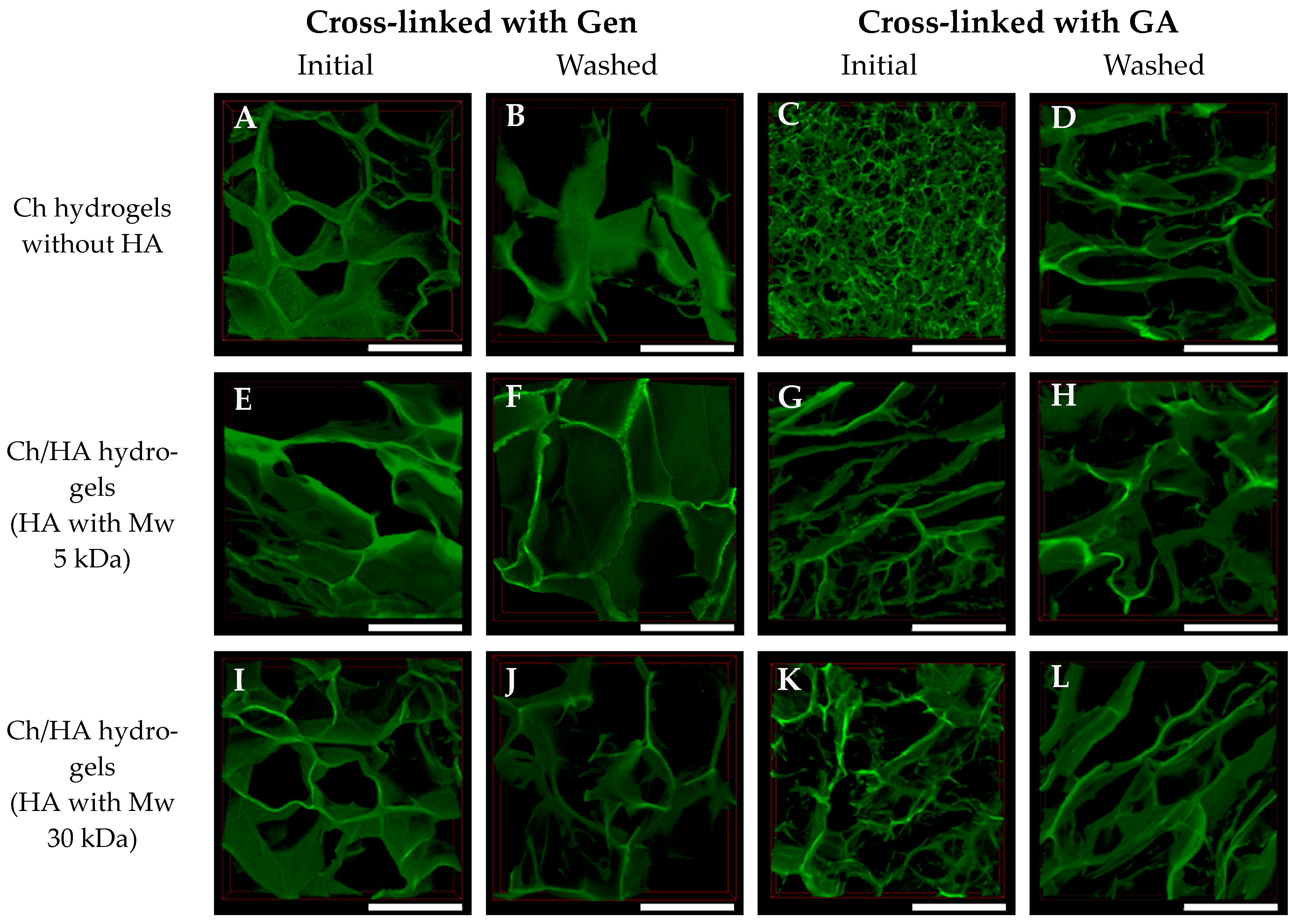 Polymers 15 02371 g003