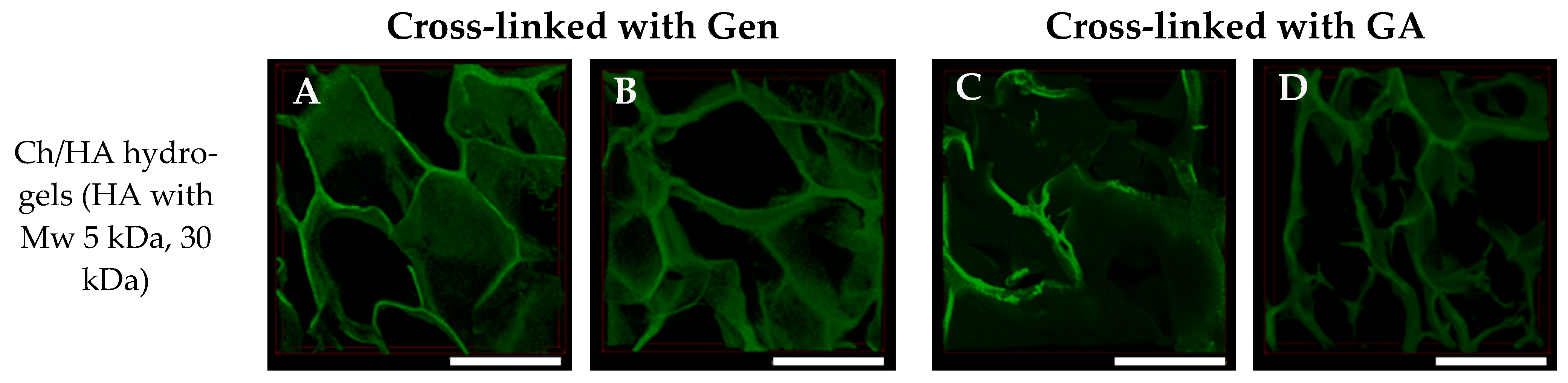 Polymers 15 02371 g004