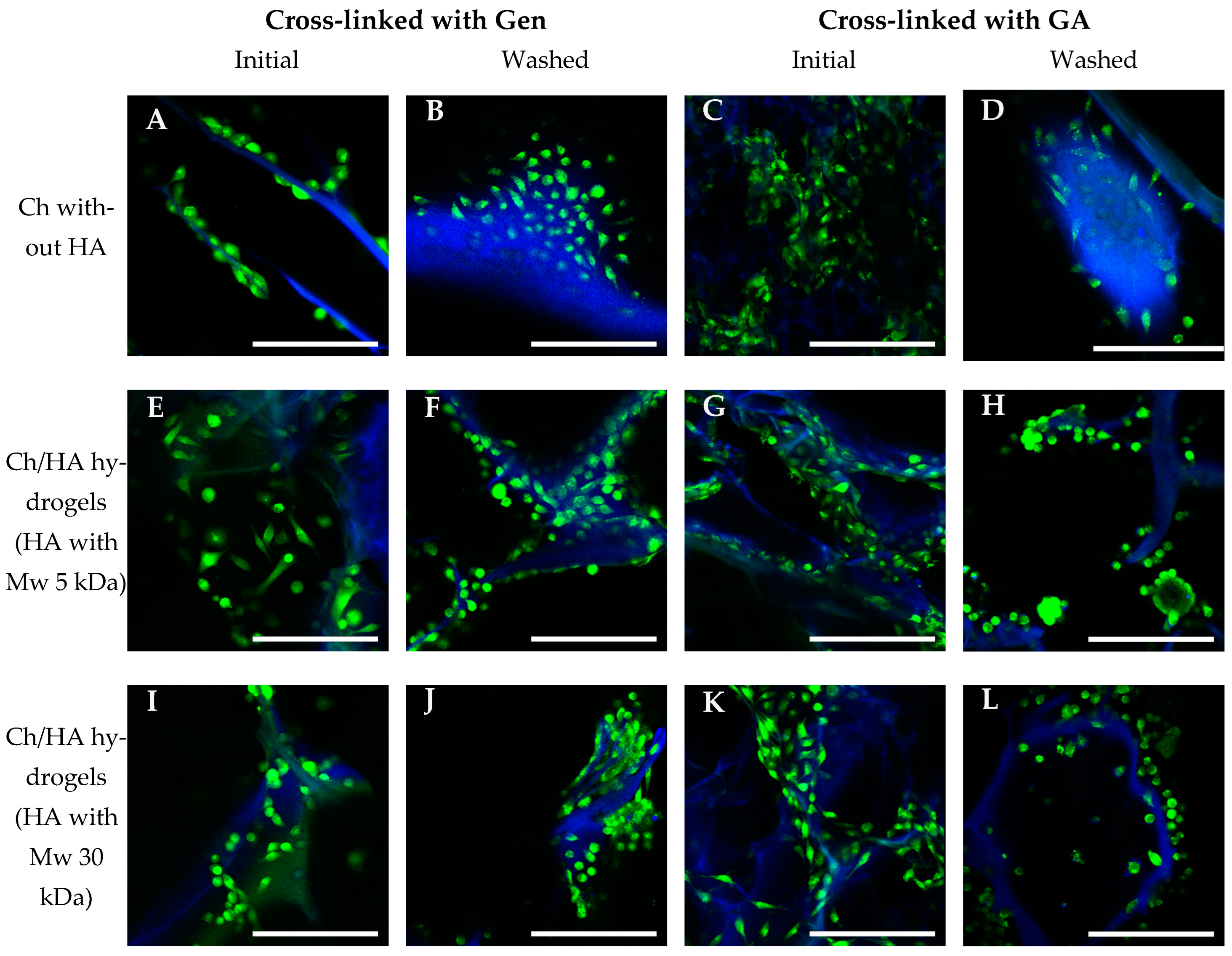 Polymers 15 02371 g009