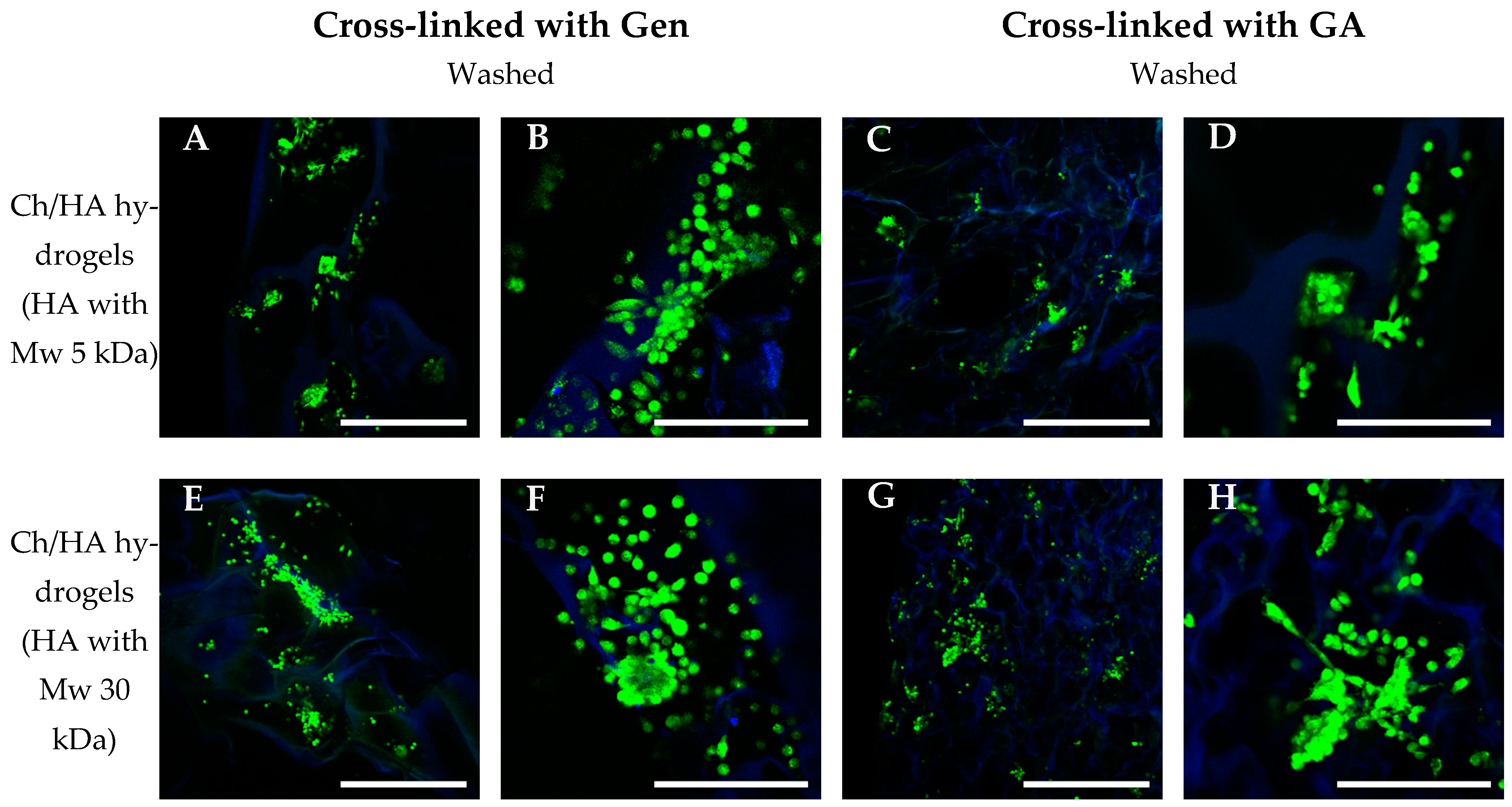 Polymers 15 02371 g010