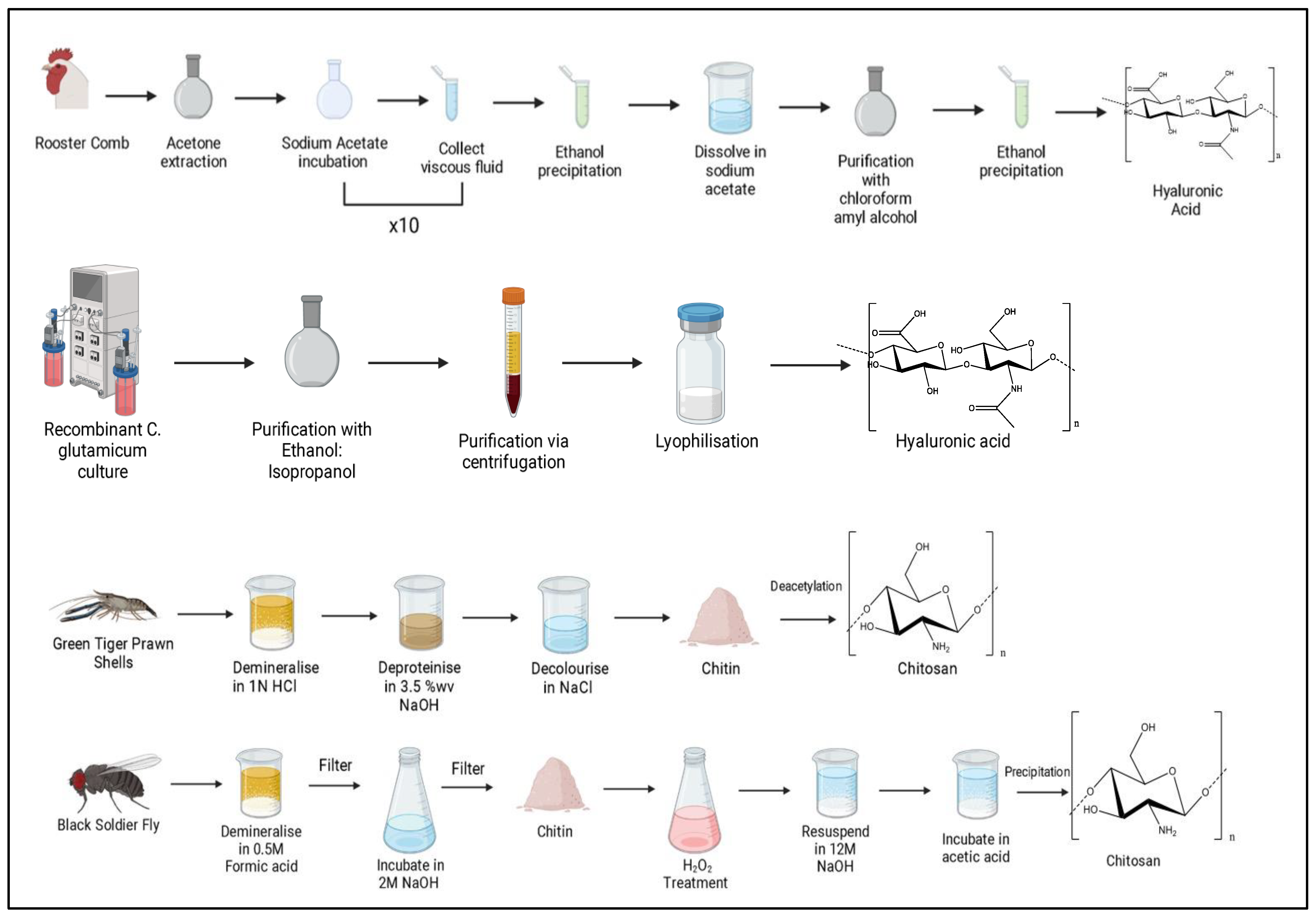 Polymers 15 02373 g005