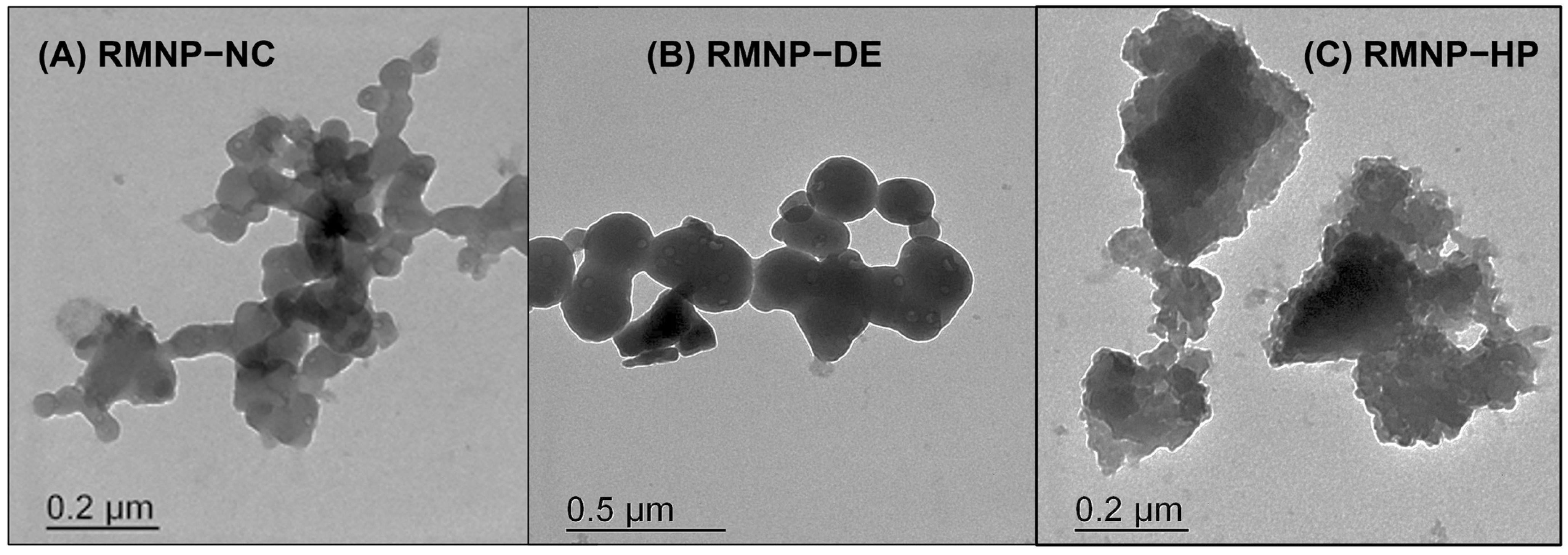 Polymers 15 02381 g003