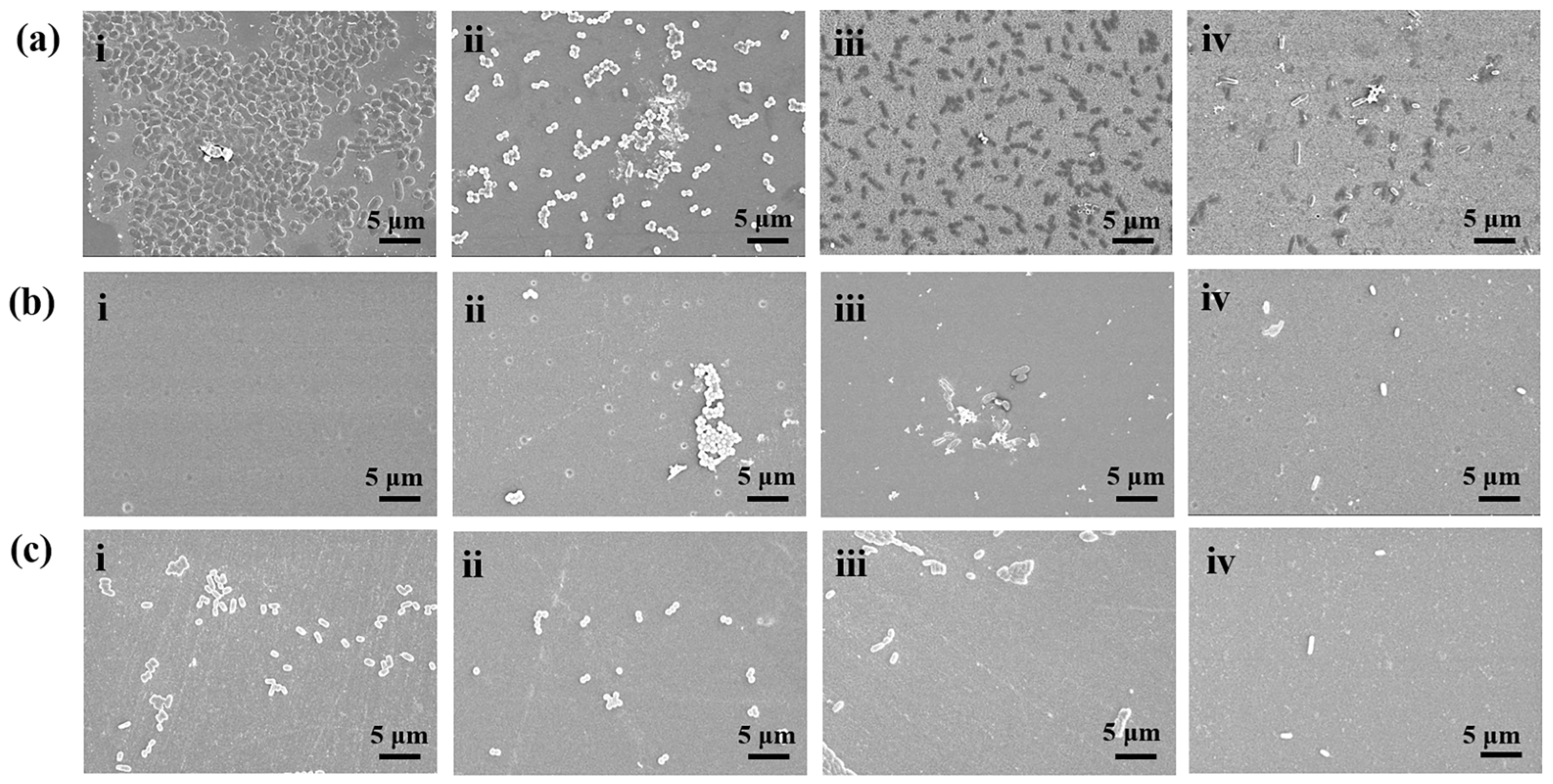 Polymers 15 02383 g007 Polymers 15 02383 g007