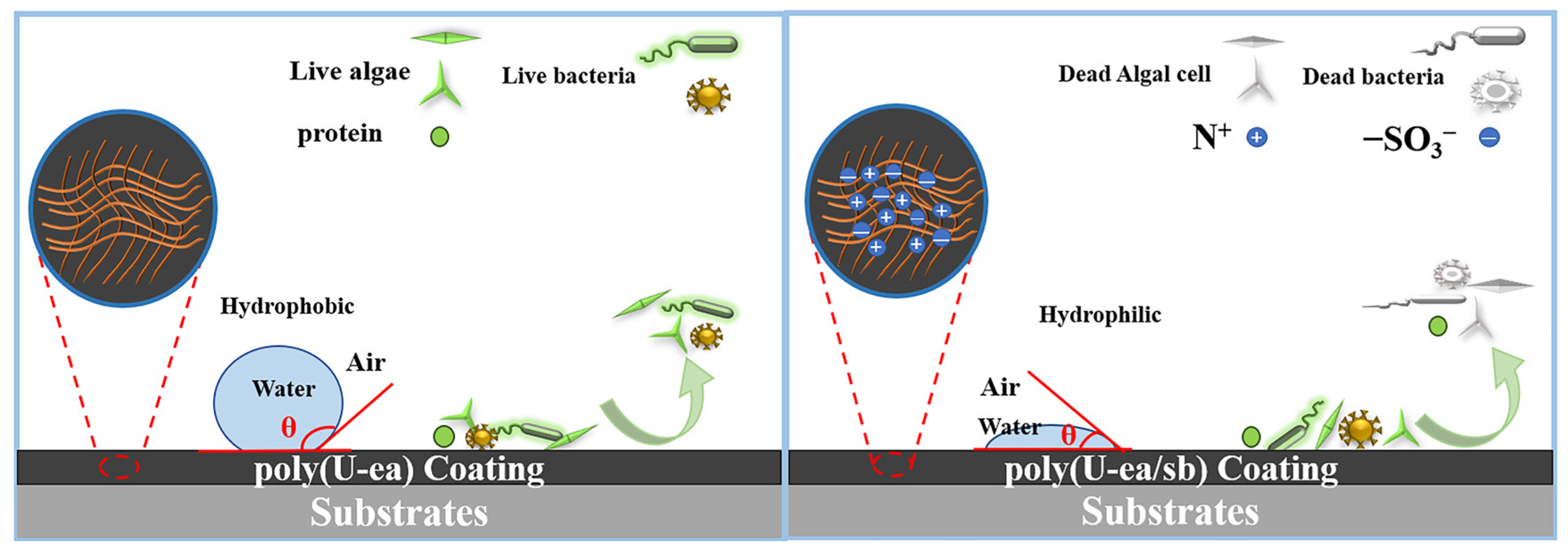 Polymers 15 02383 sch003 Polymers 15 02383 sch003