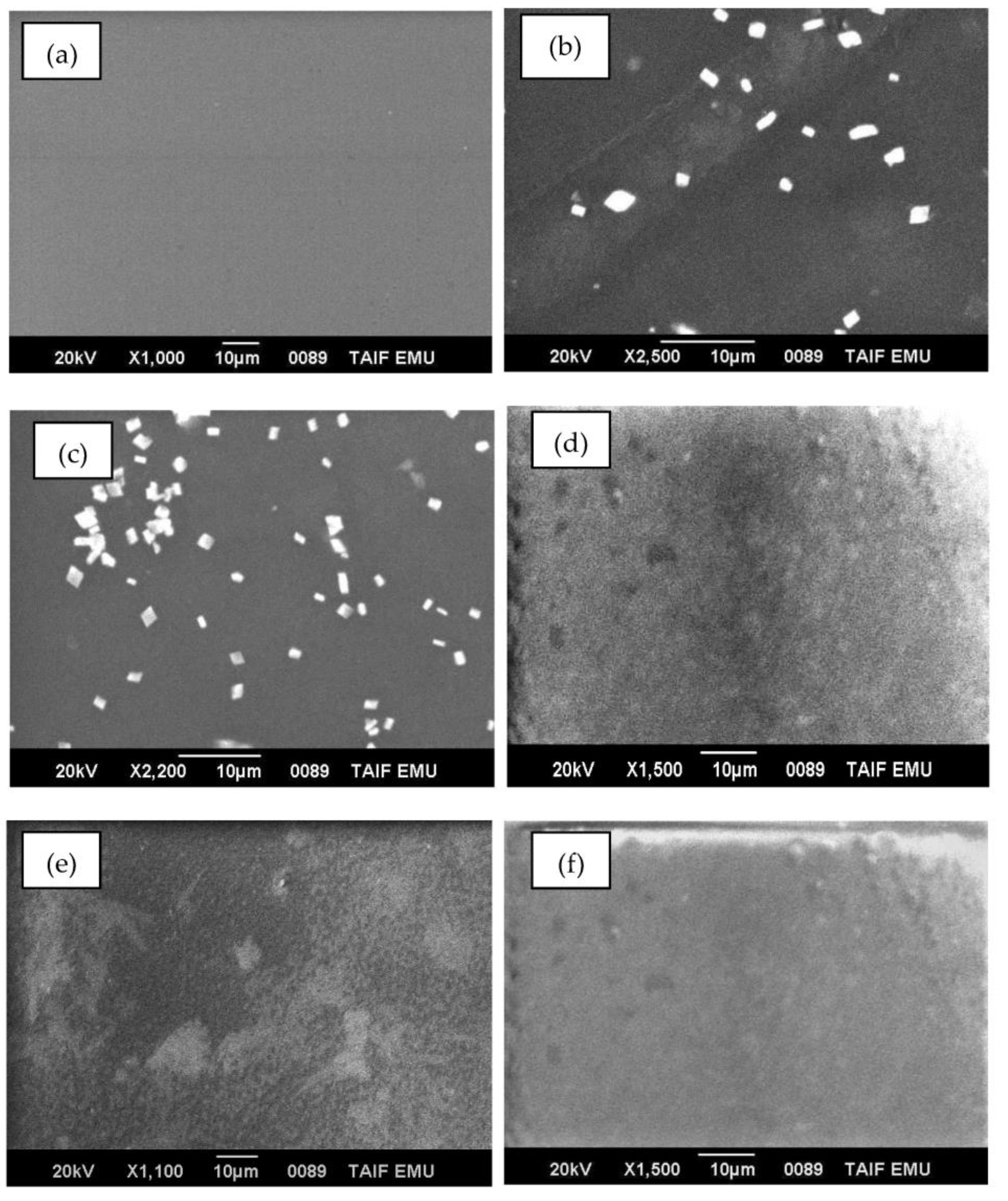 Polymers 15 02391 g001