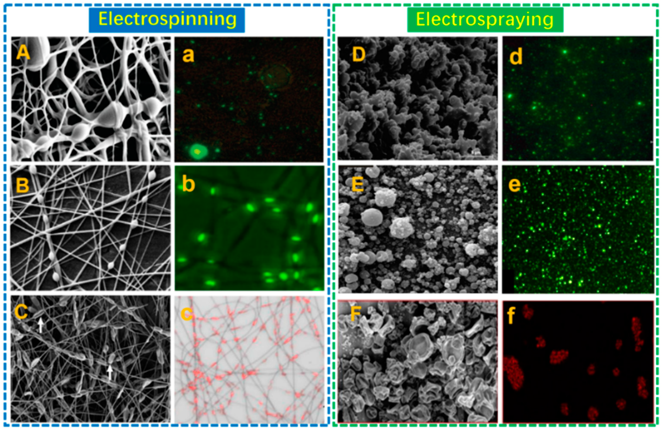 Polymers 15 02402 g003
