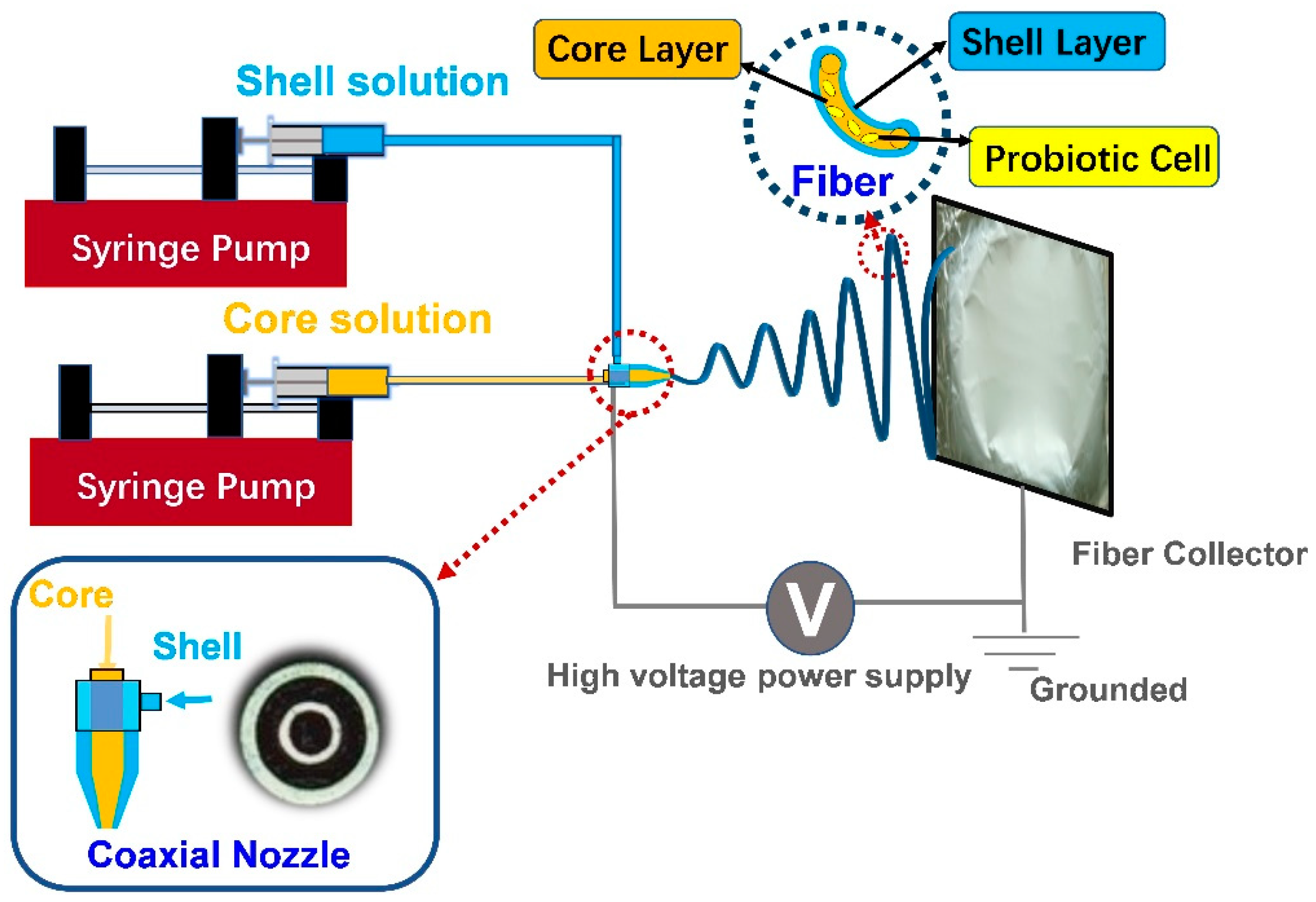 Polymers 15 02402 g004