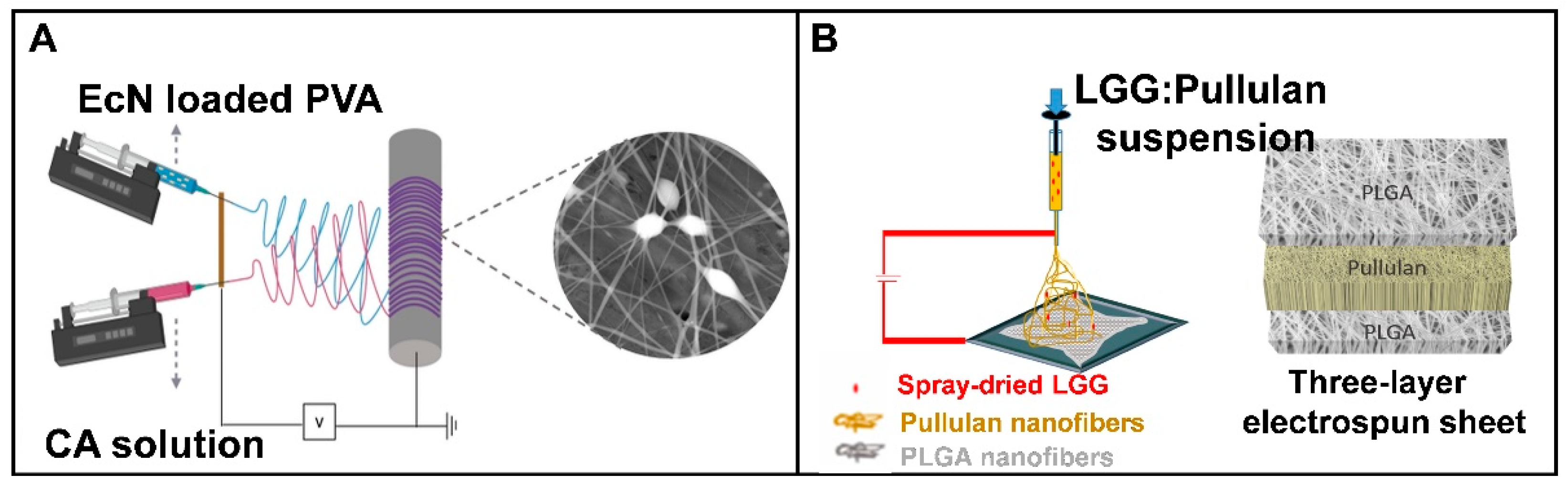 Polymers 15 02402 g005