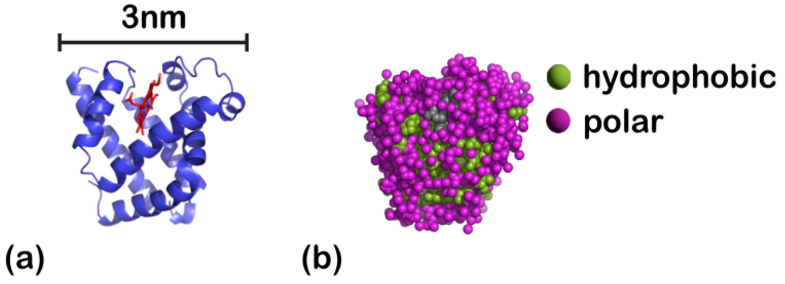Polymers 15 02407 g001