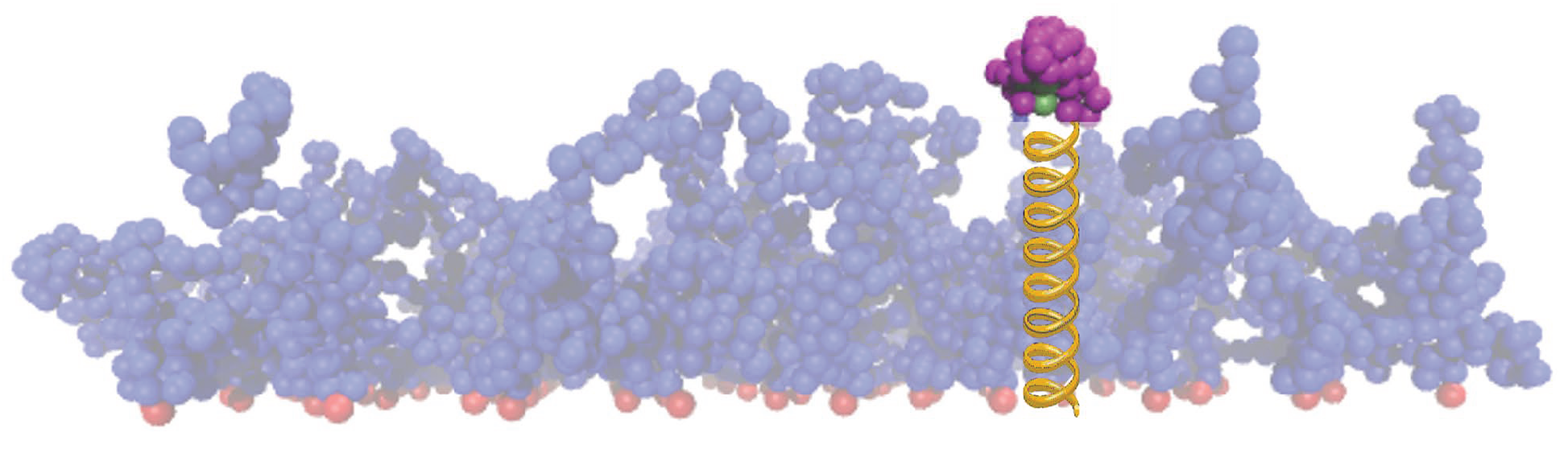 Polymers 15 02407 g019