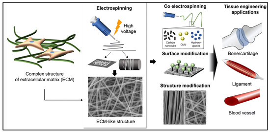 Polymers 15 02418 g004