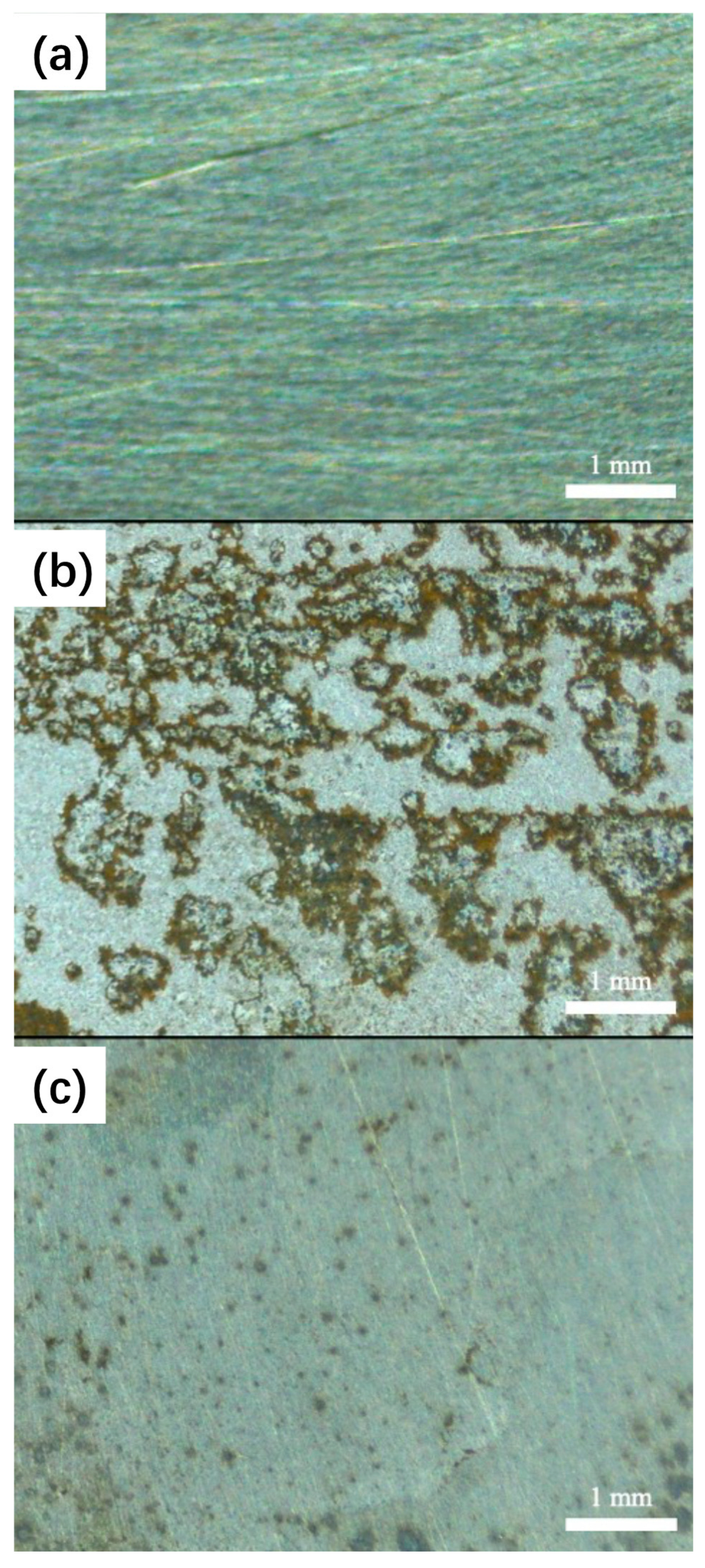 Polymers 15 02420 g007 Polymers 15 02420 g007