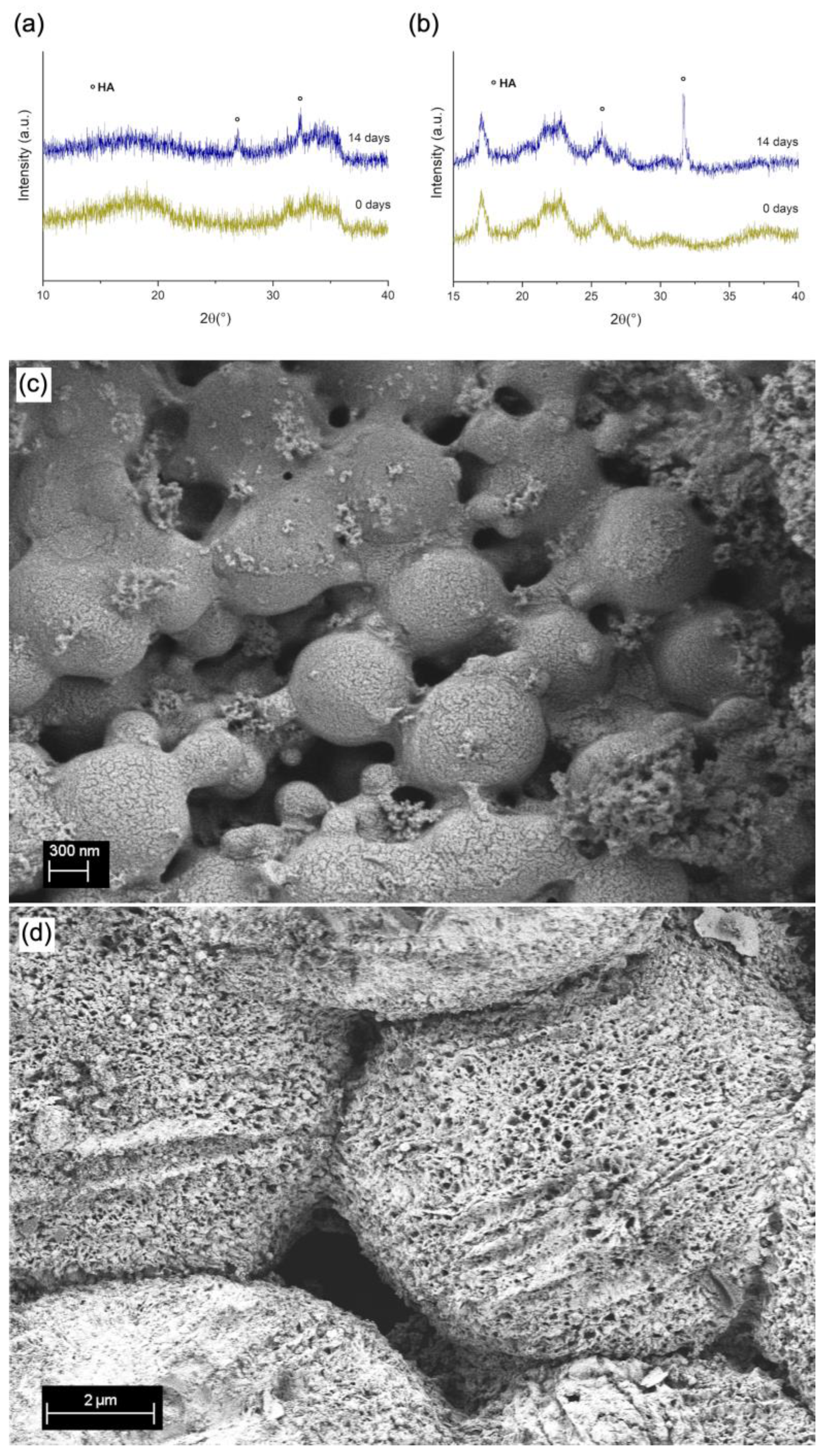 Polymers 15 02432 g004