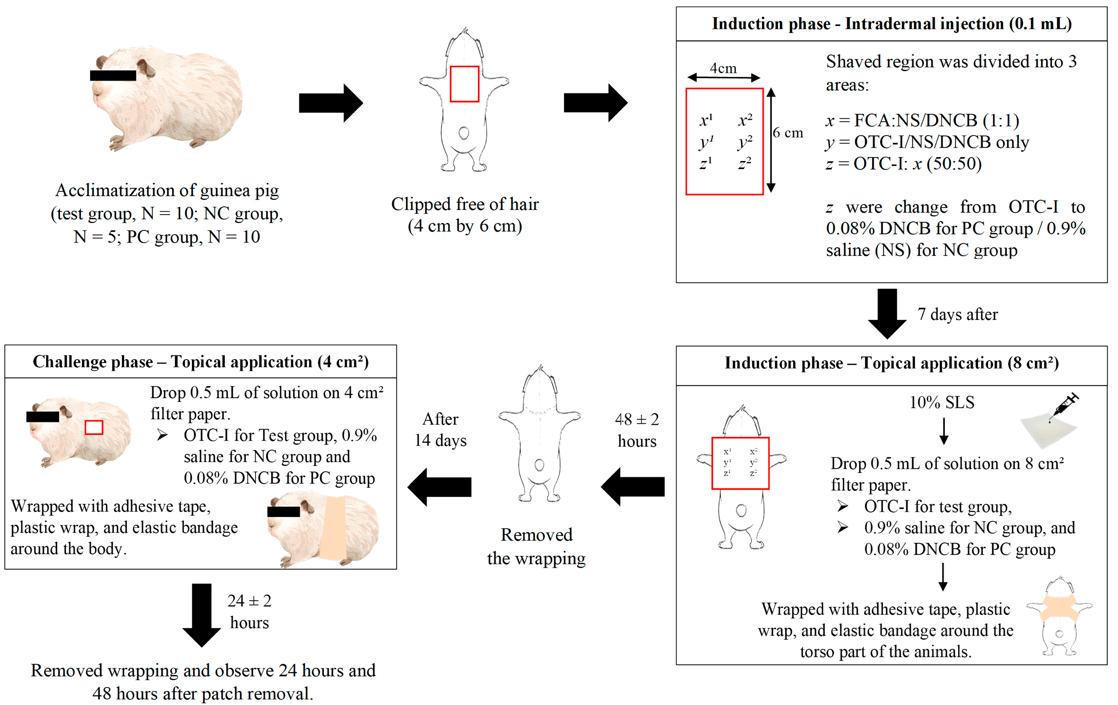 Polymers 15 02436 g001 Polymers 15 02436 g001