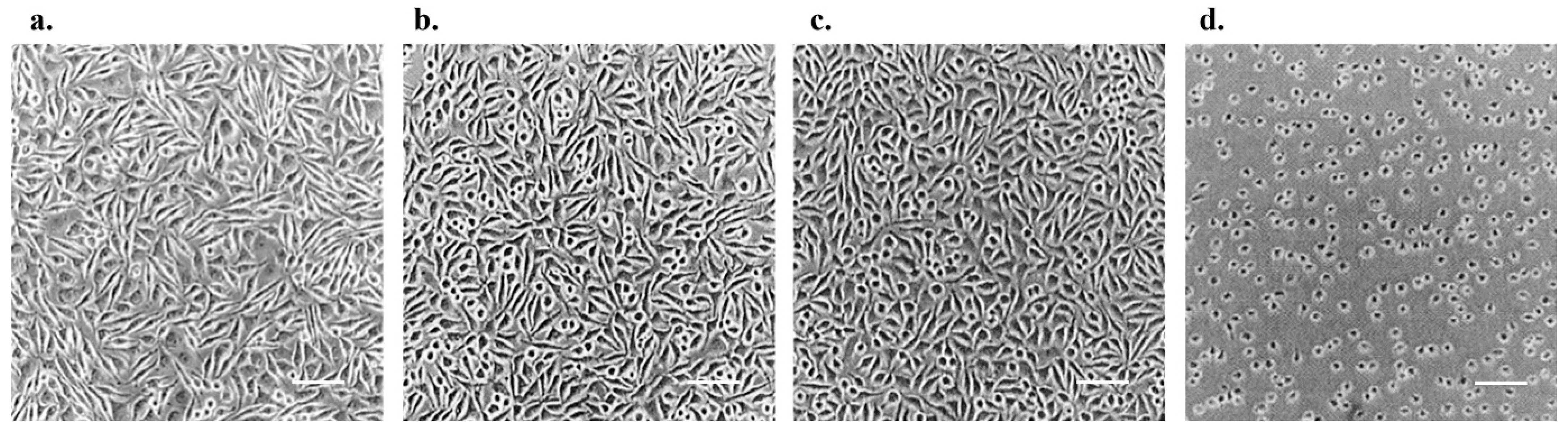 Polymers 15 02436 g004 Polymers 15 02436 g004