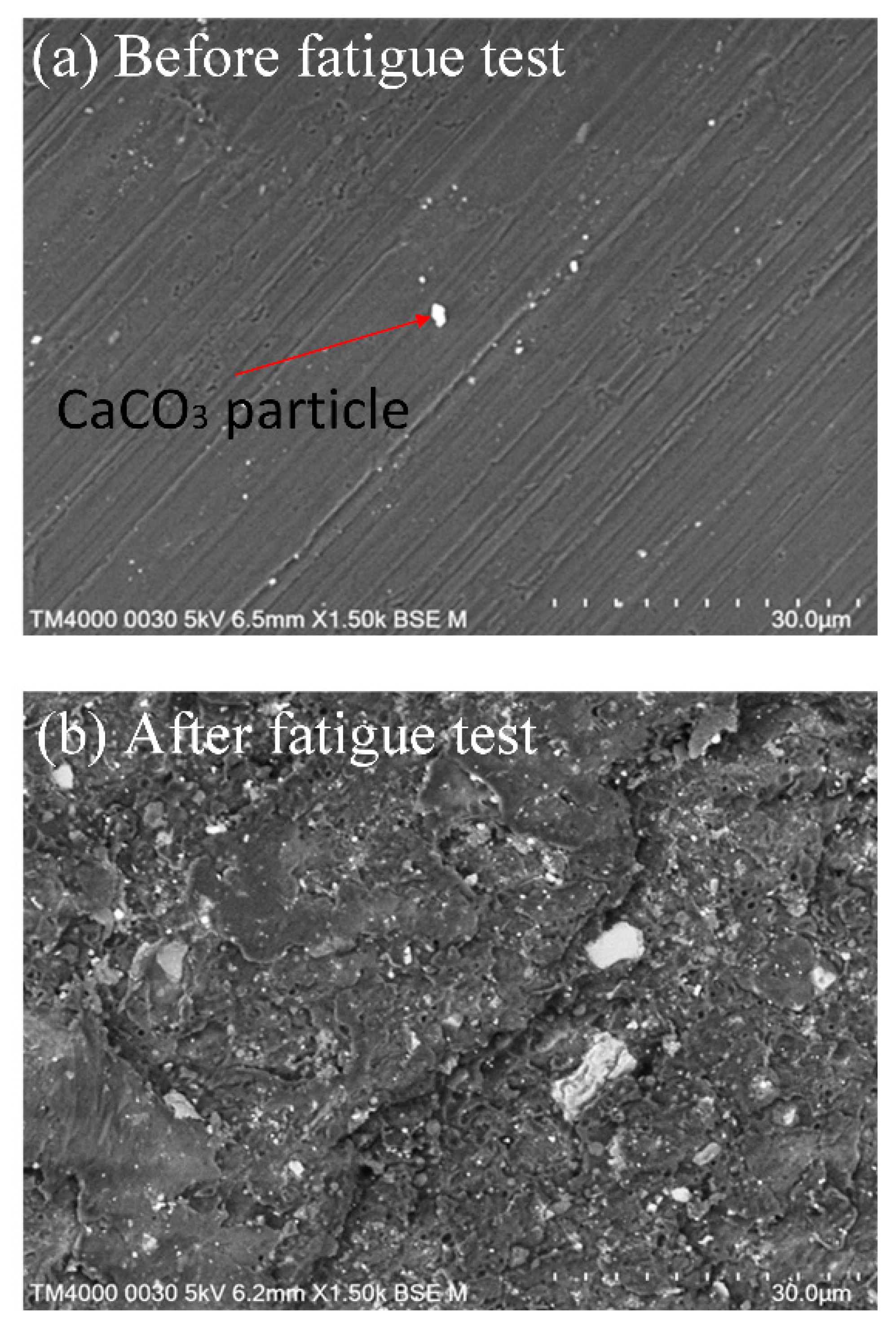 Polymers 15 02440 g016