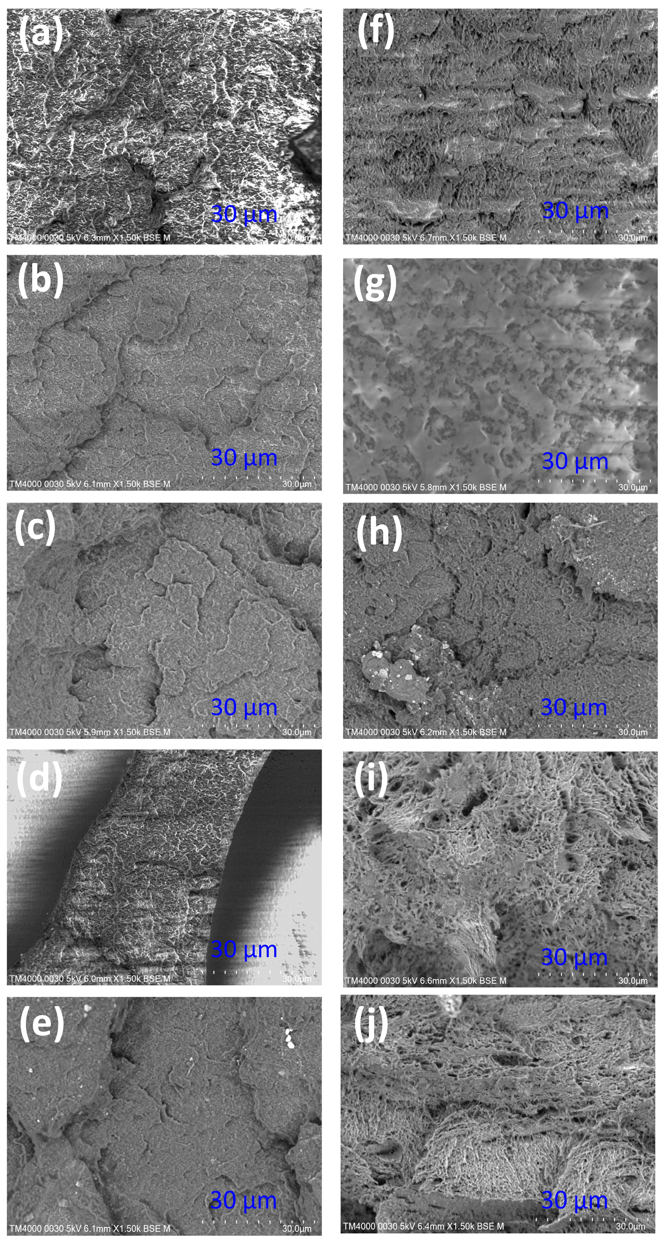 Polymers 15 02440 g021