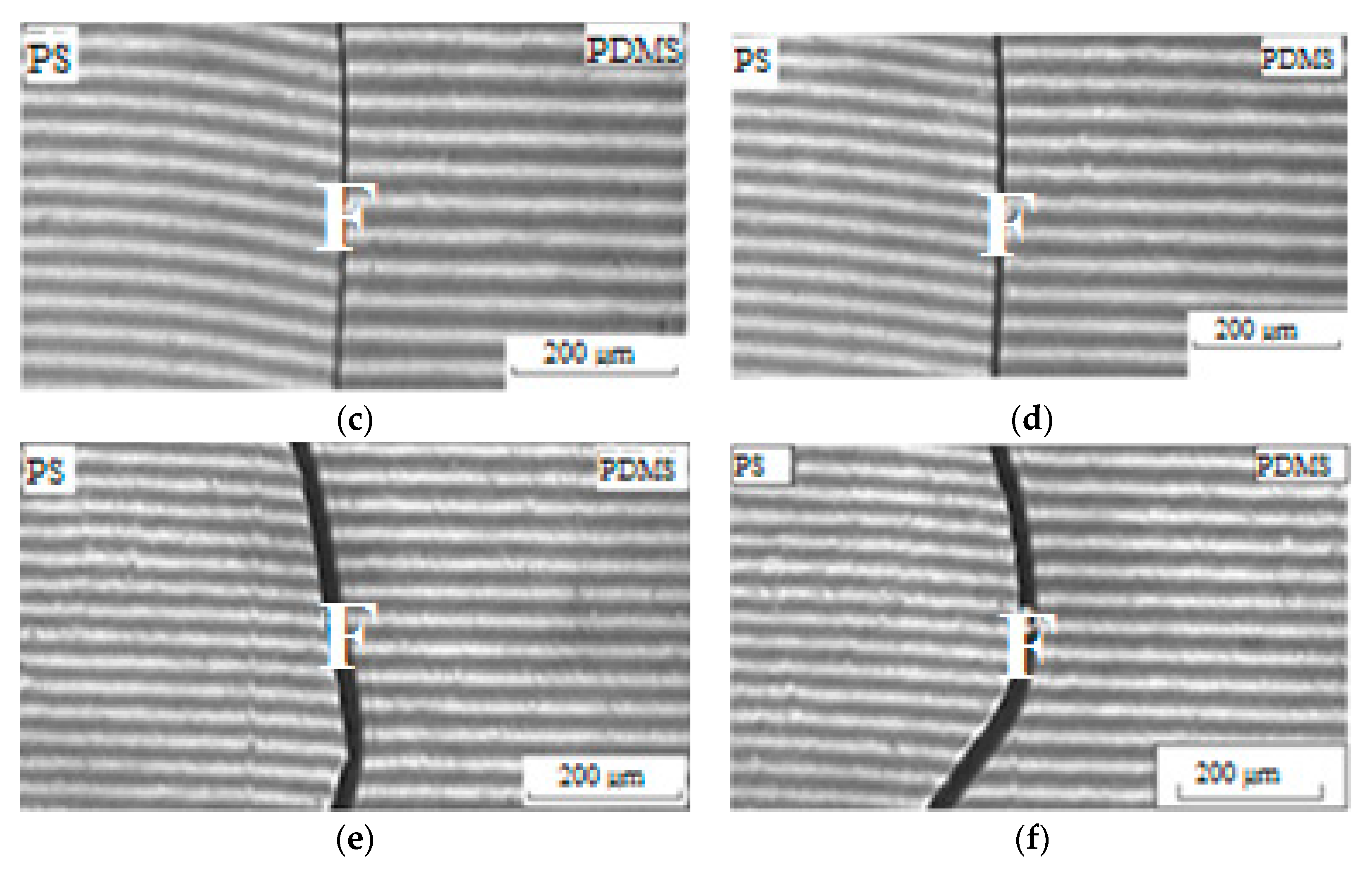Polymers 15 02464 g013b