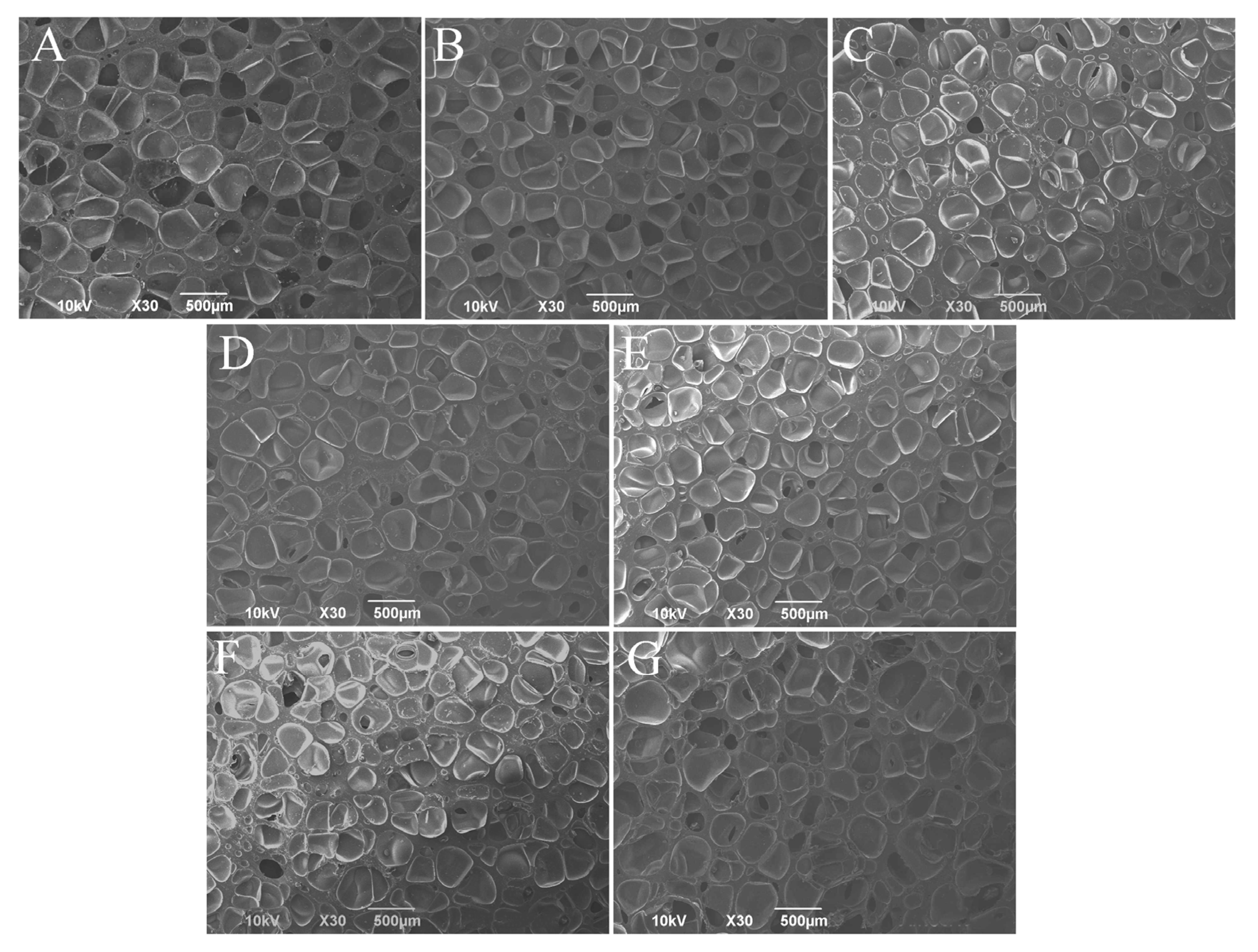 Polymers 15 02471 g002