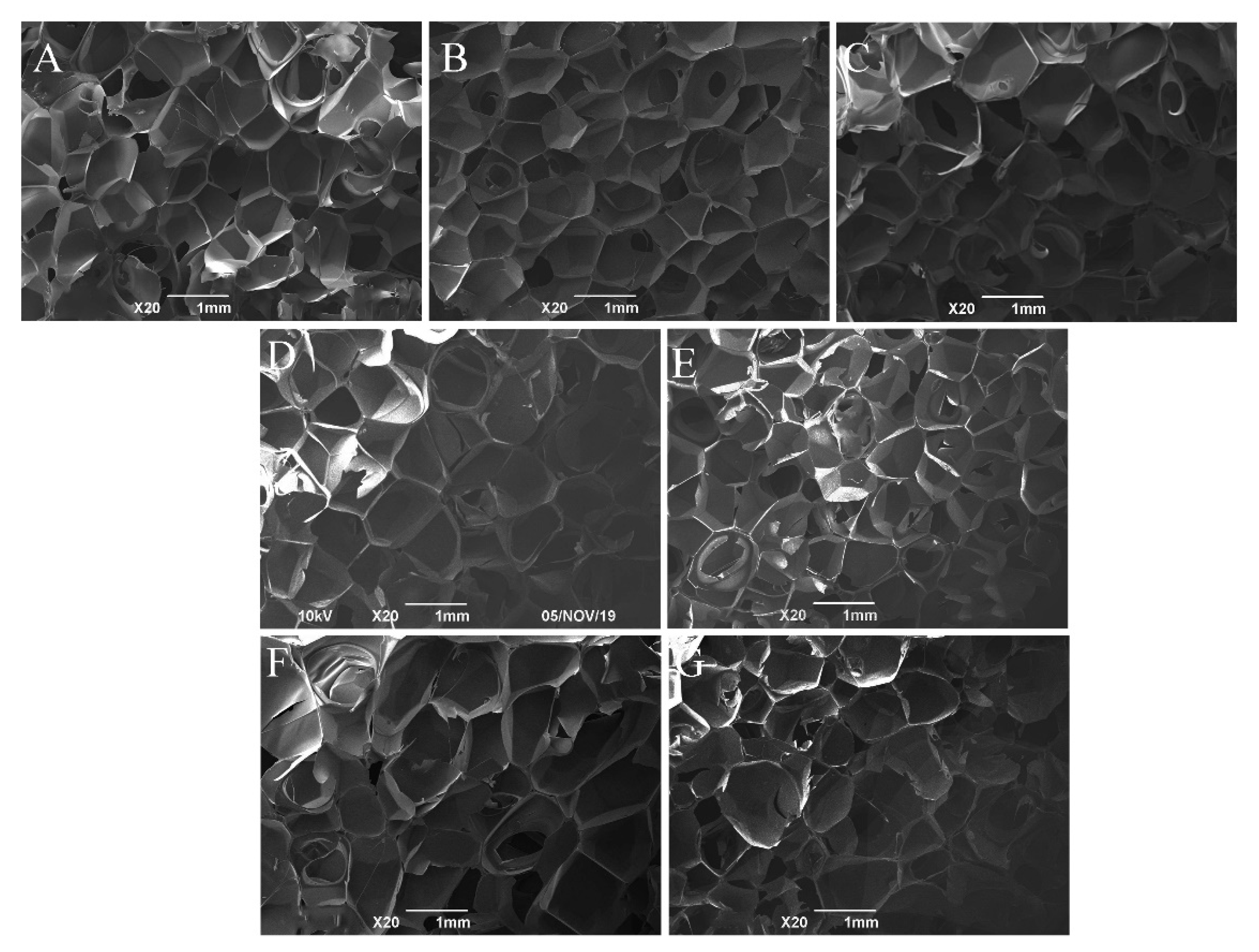 Polymers 15 02471 g004