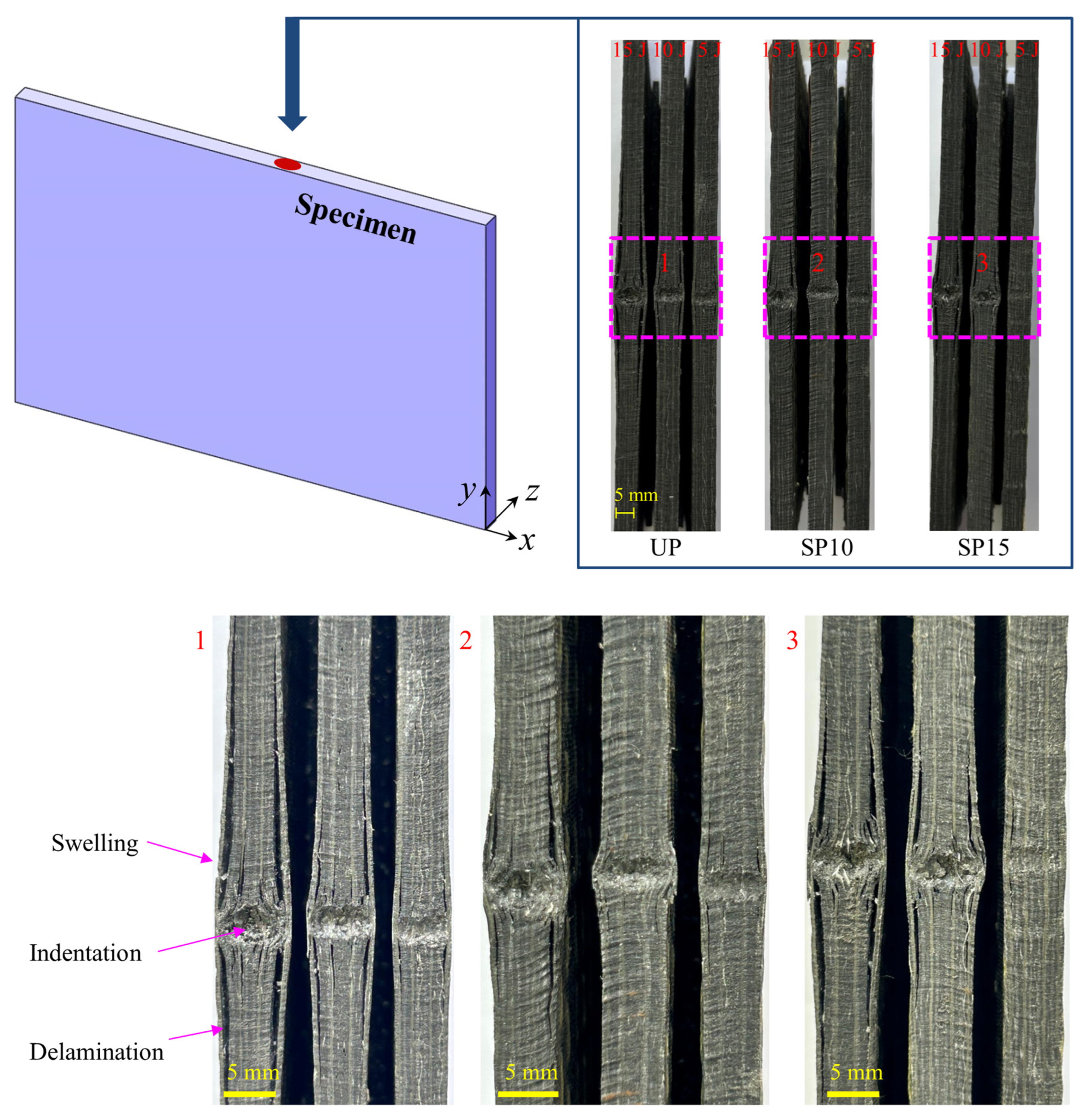 Polymers 15 02484 g006