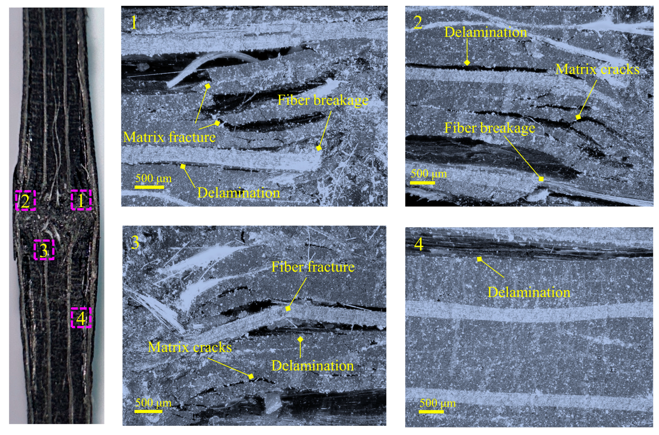 Polymers 15 02484 g007