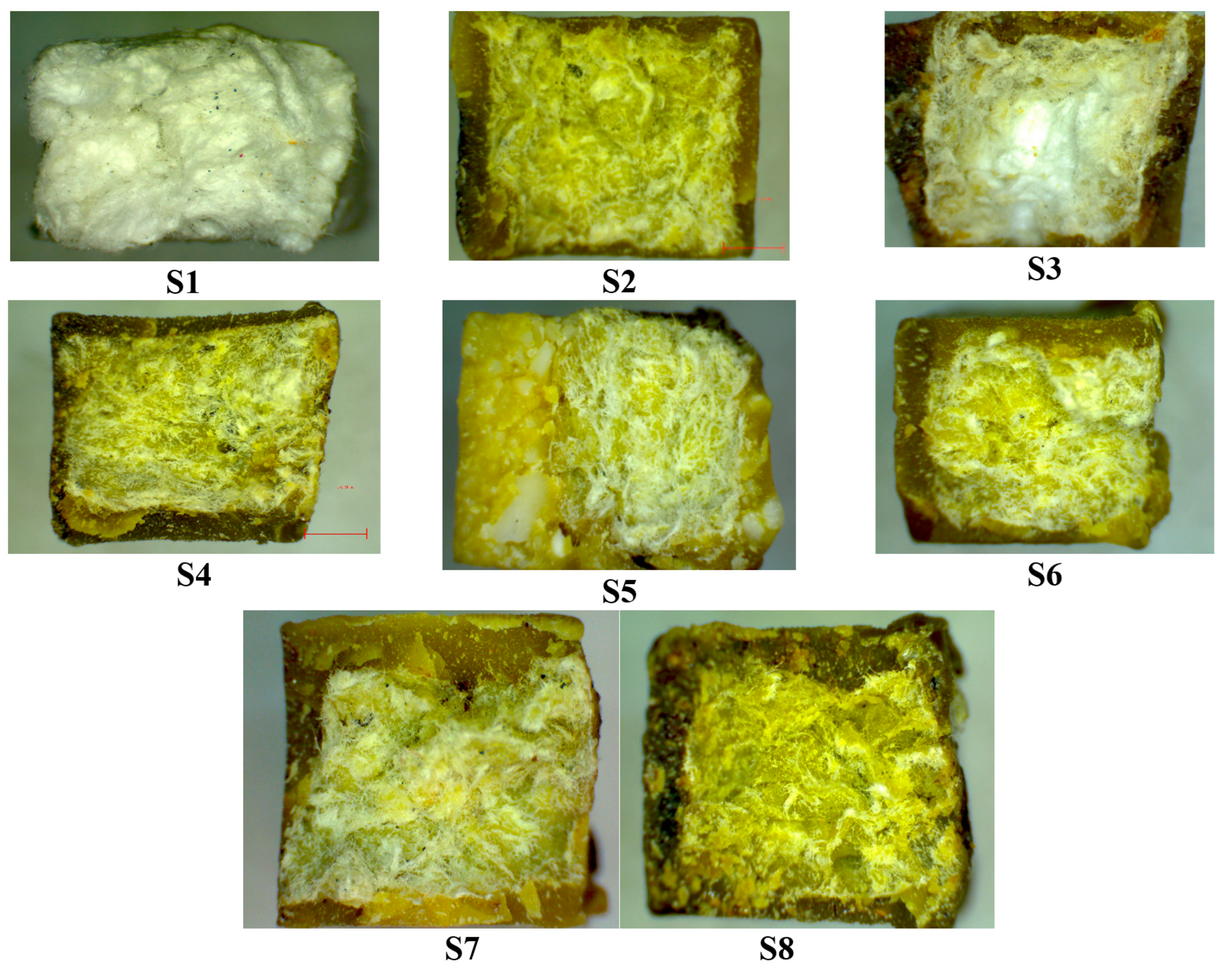 Polymers 15 02487 g008