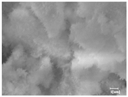 Polymers 15 02496 i002