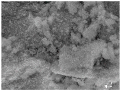 Polymers 15 02496 i004