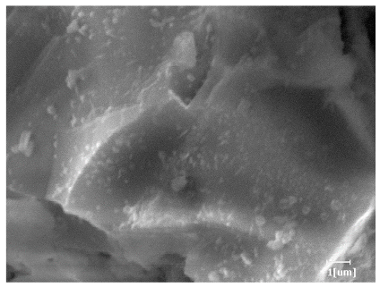 Polymers 15 02496 i005