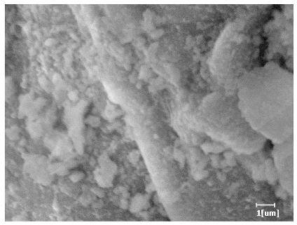 Polymers 15 02496 i006